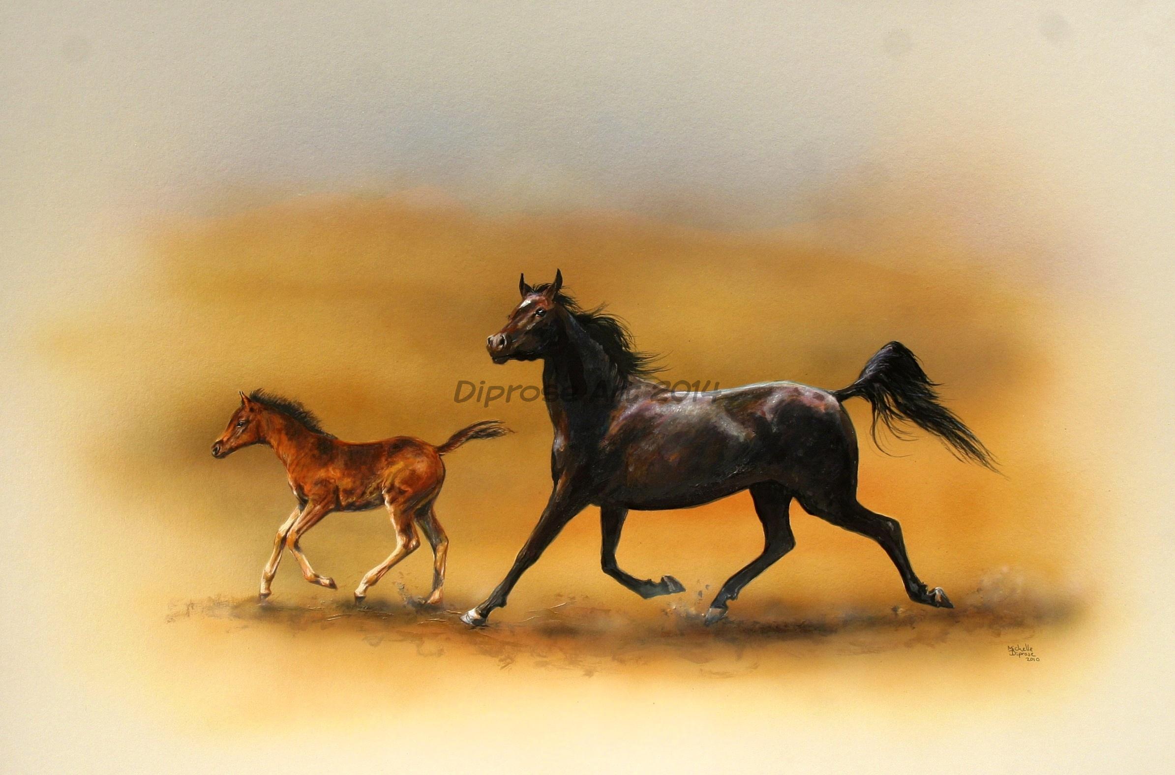 Acrylics on board - approx A1 - horse portraits - Usually I work ion a commission basis but I did this painting just because I wanted to after seeing these two running about a field.  Black is rare in Arabians and I thought the mare was beautiful.