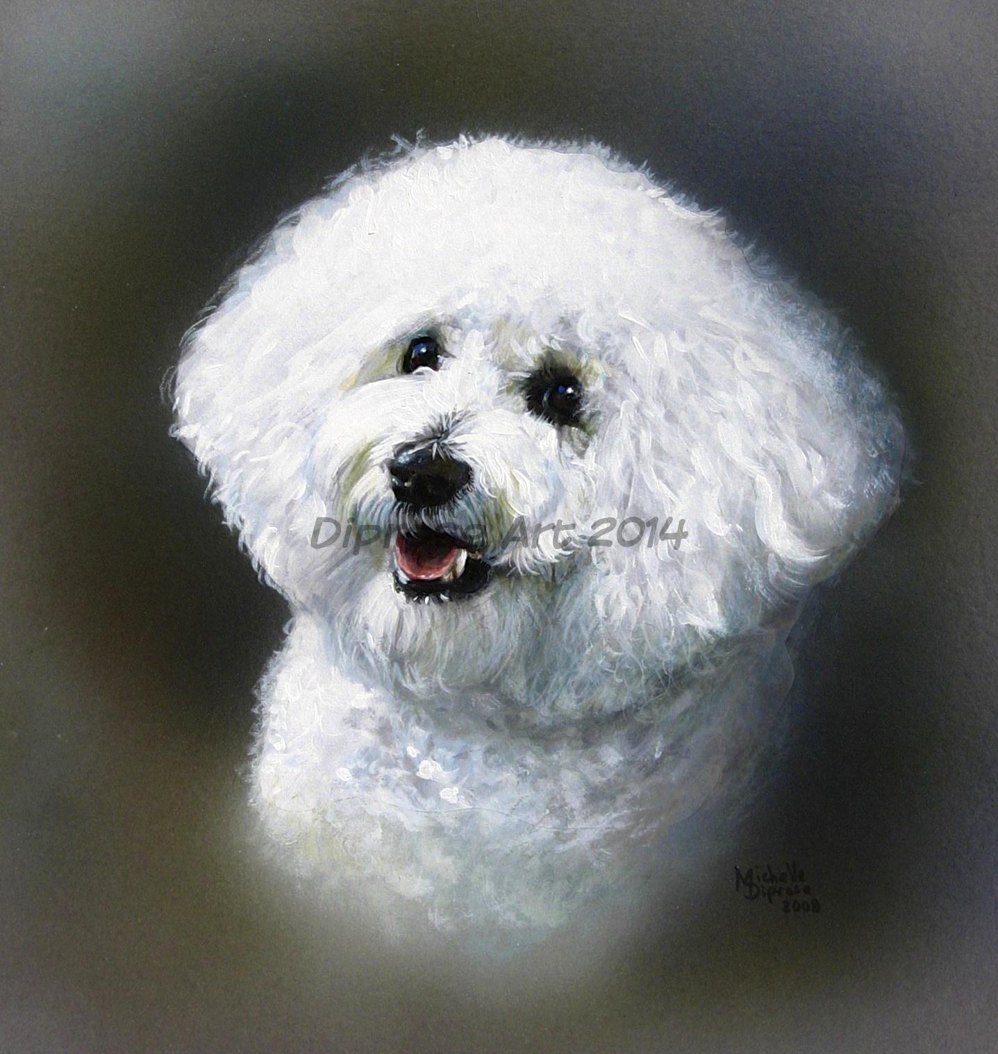 Acrylics on board - approx A4 - pet dog portrait - white is difficult to paint as it can end up looking dirty.  Fluff is also hard to portray.  Put them together in a Bichon and I hd my work cut out - I am really pleased with the result however!
