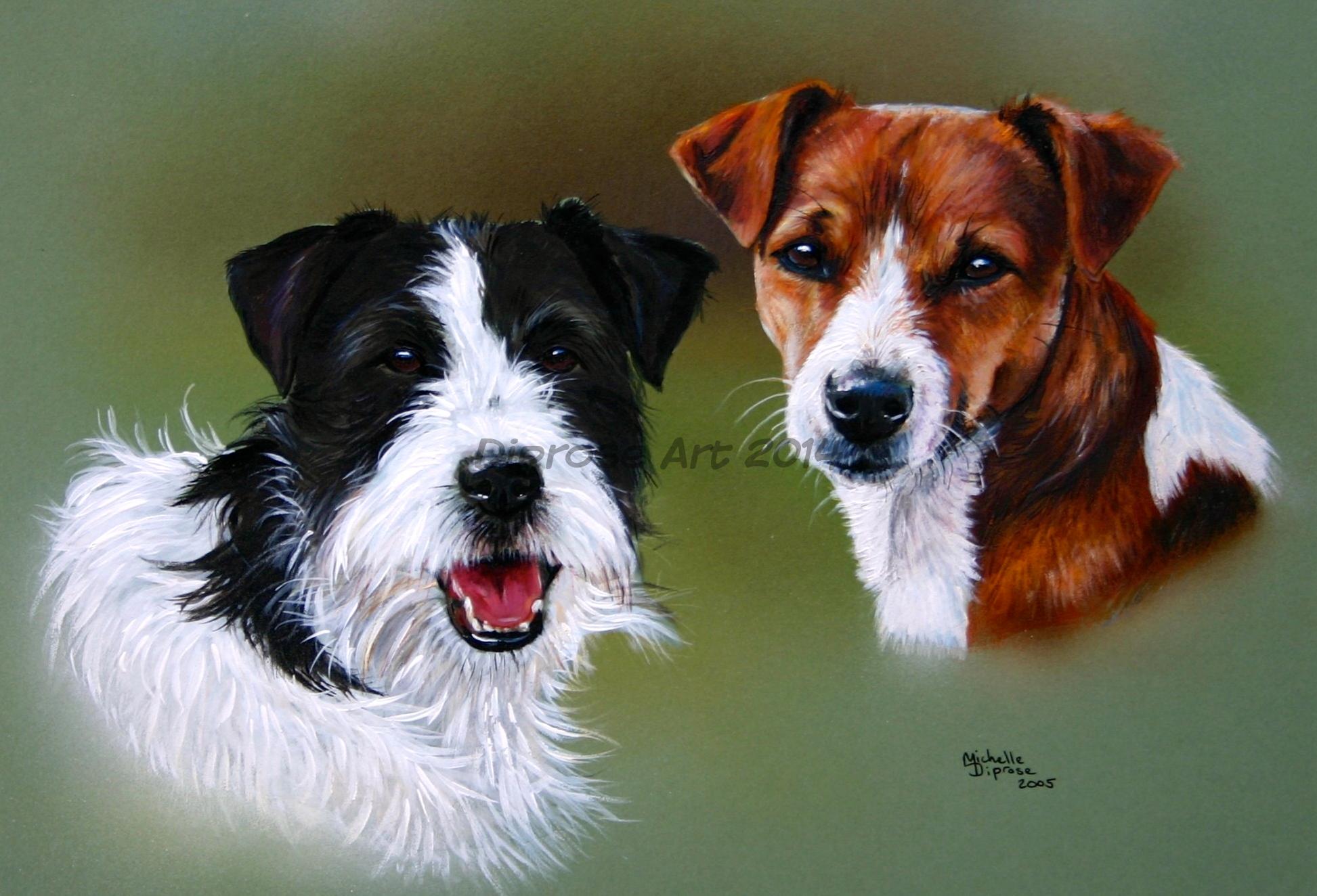 Acrylics on board - approx A3 - pet dog portrait - These two are Jack Russell Terrier brothers but one is smooth coated whilst the other a wonderful scruffy!