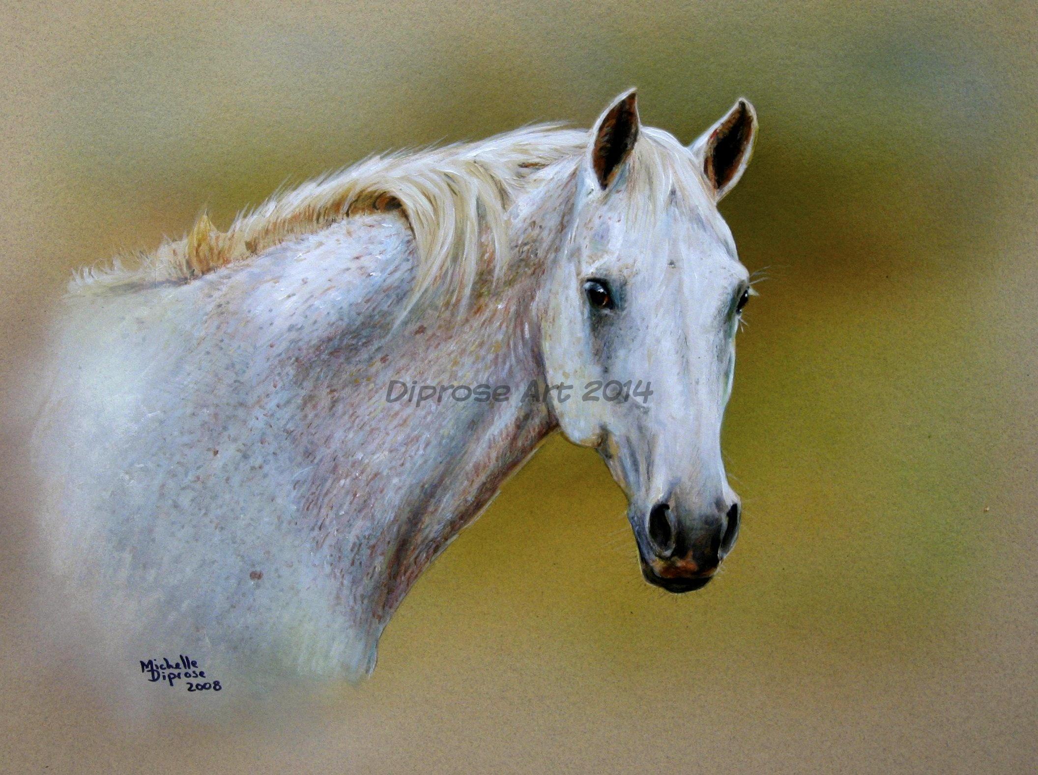 Acrylics on board - approx A3 - horse portrait - Garbo is a flea bitten grey mare (not the easiest to paint!) - I liked this portrait as it looks so natural and relaxed.  She is a beautiful mare and very special.