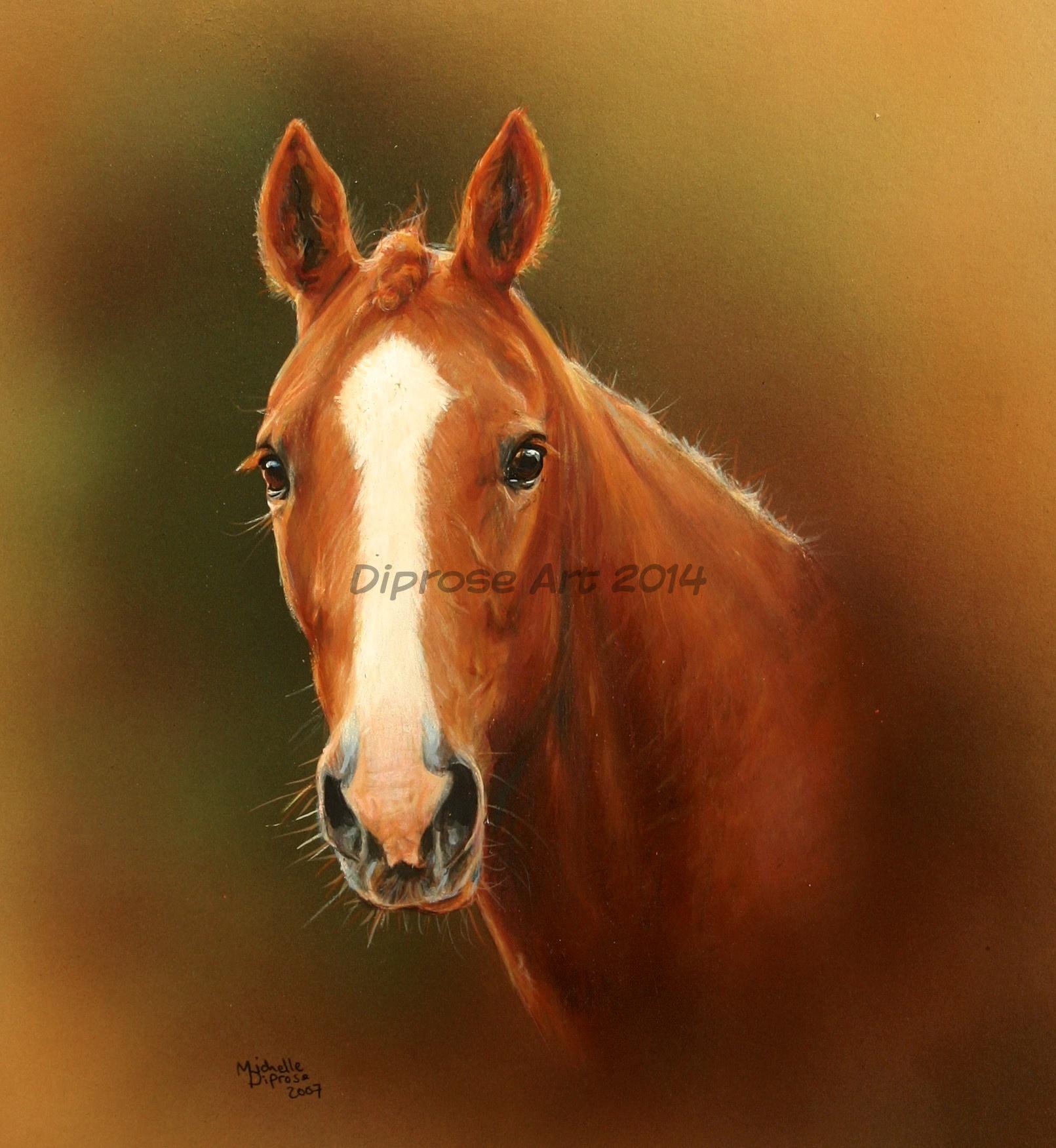 Acrylics on board - approx A4 -  horse portrait - I love this little horse&#039;s face - so expressive.  