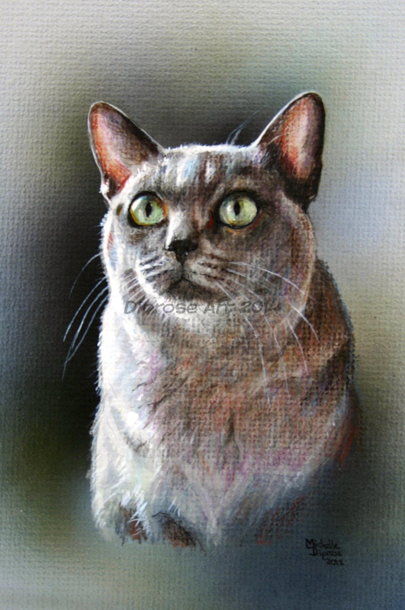 Acrylics on board - approx A4 - pet cat portrait - Gucci is a British Blue - great name, great cat.  What a fantastic colour to paint and such dense fur.  Gorgeous.