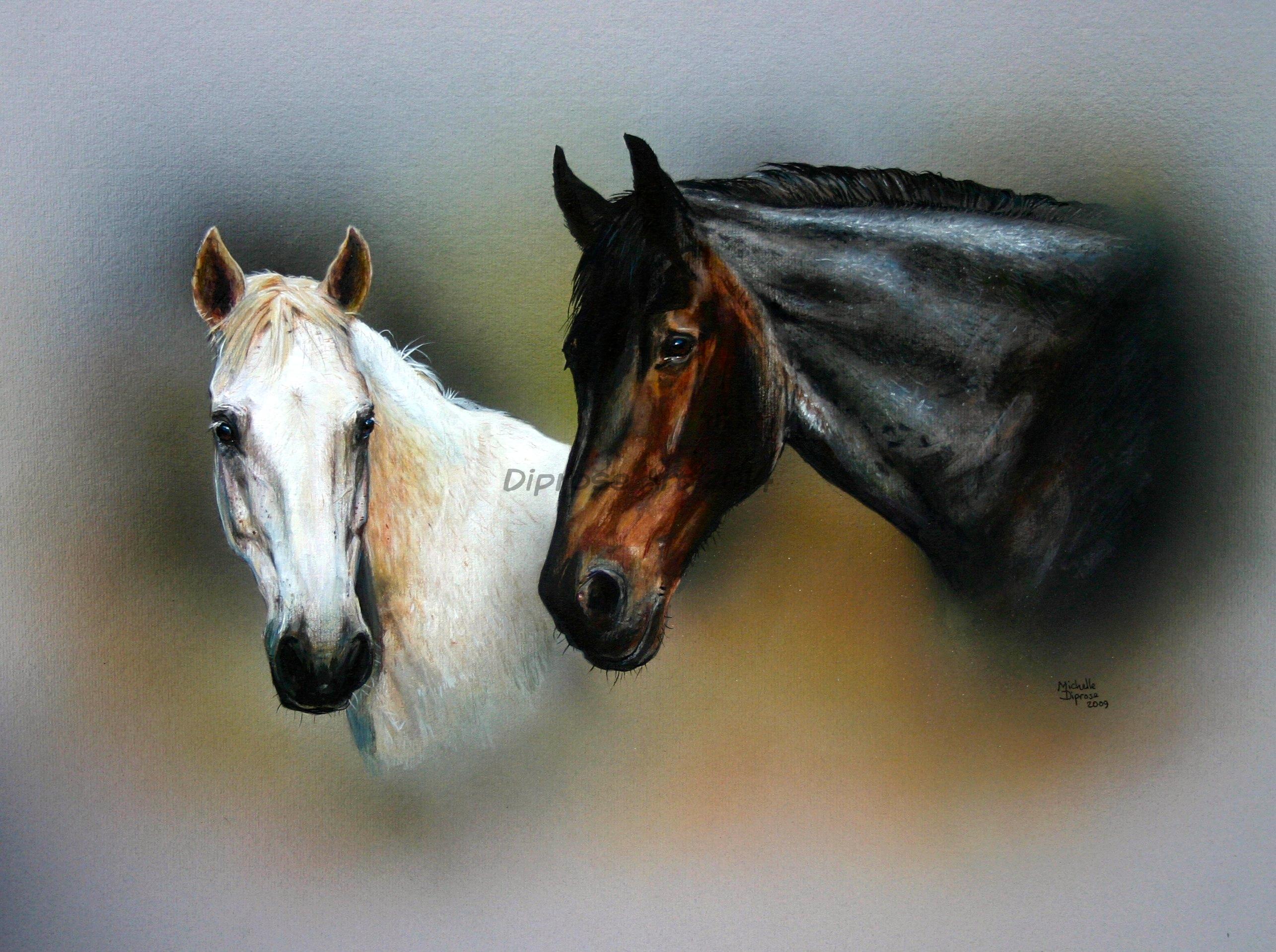 Acrylics on board - approx A3 - horse portraits - this painting completed a trio of paintings - the two friends together.  It was a privilege to meet and paint them. They are both depicted separately in different paintings, galloping.