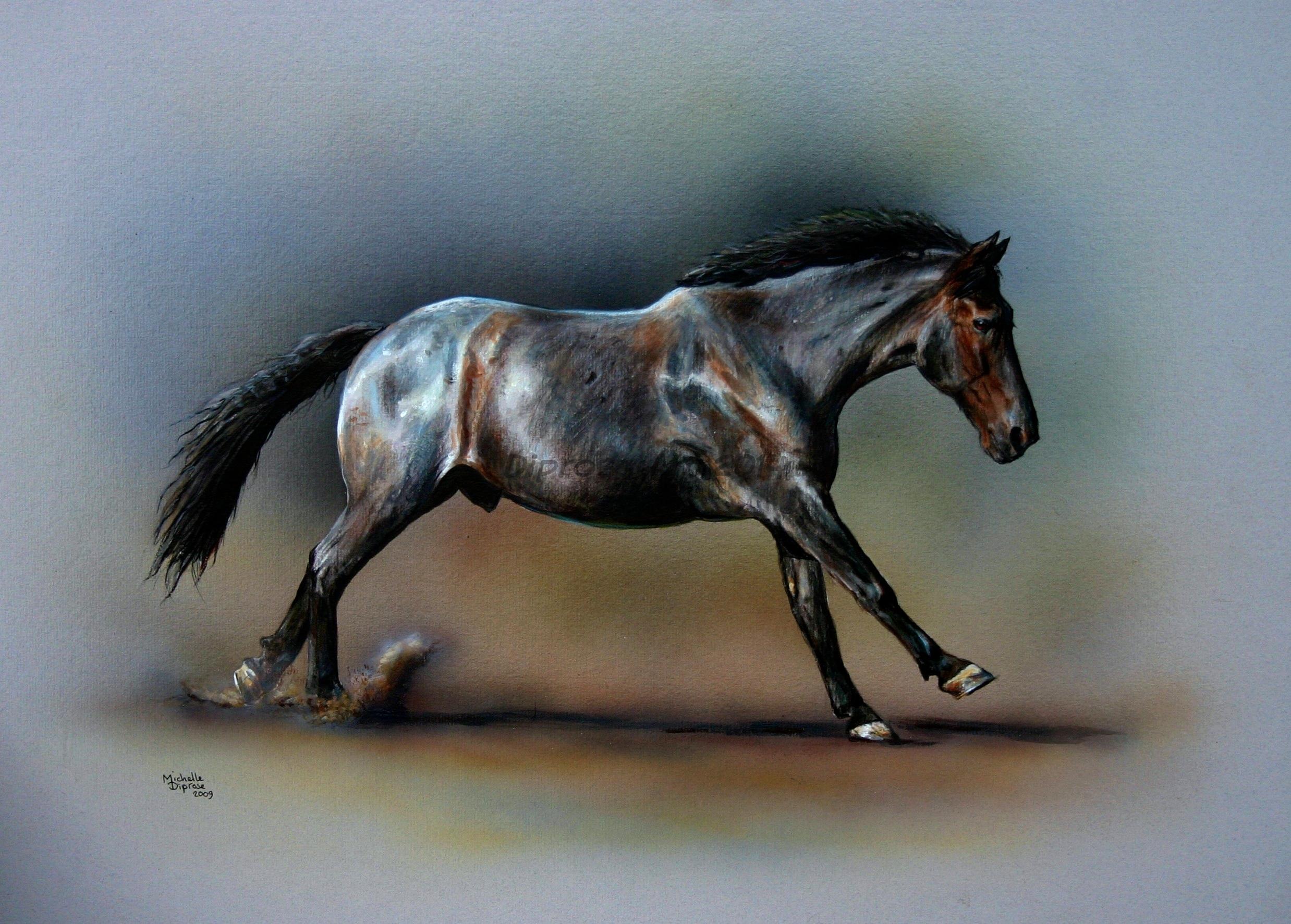 Acylics on board - A3 approx - horse portrait - Benson was probably the most unusually coloured horse I have ever painted - he was a blue roan - sort of - with brown bits - kind of a dark gun metal shade - a big fella too!  He was wonderful.