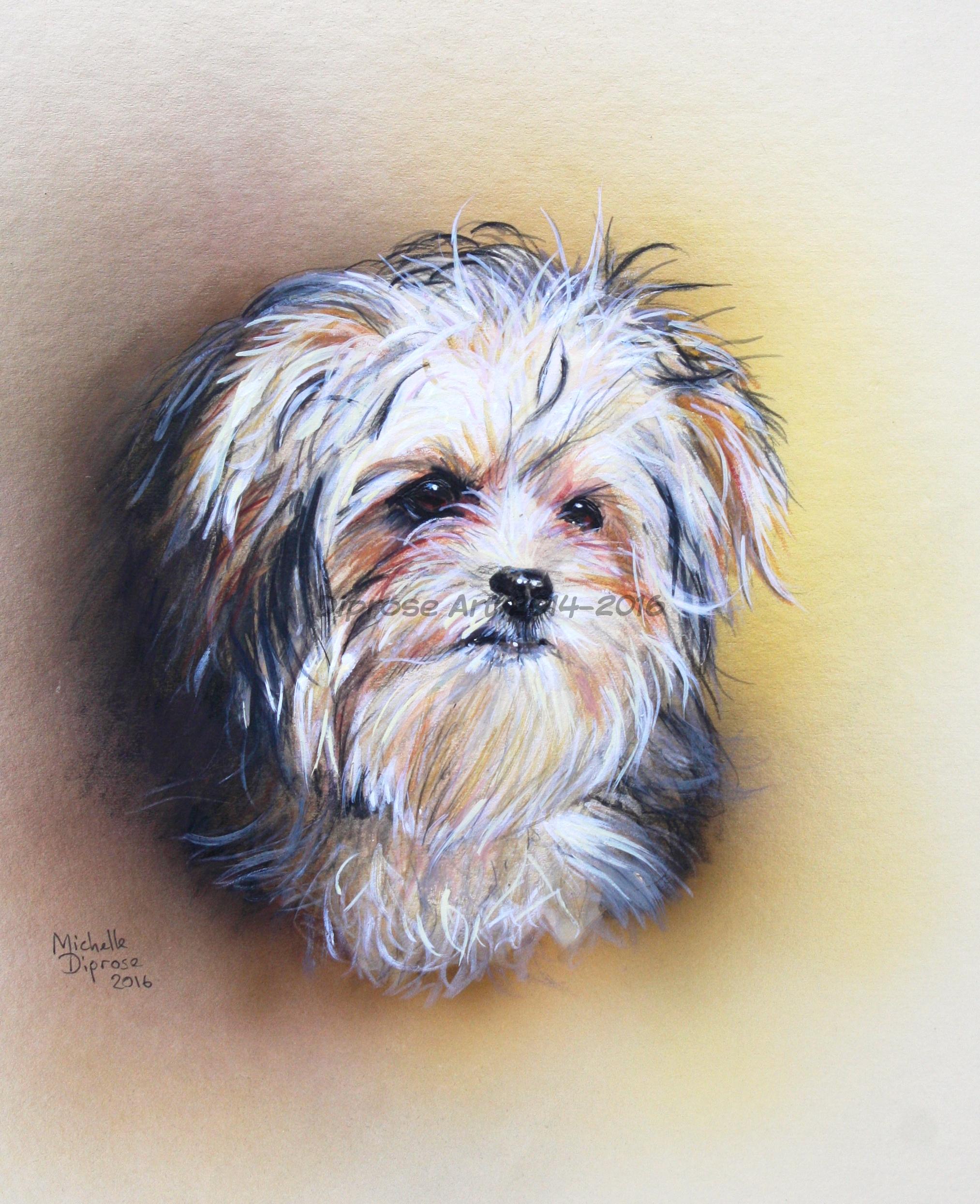 acrylics on board - approx A4 - I was delighted to be asked to paint this little dog&#039;s portrait as Lucy is a favourite of mine and stays with me at my Doggy hotel.  She is just the most amazing character and I love her to bits.