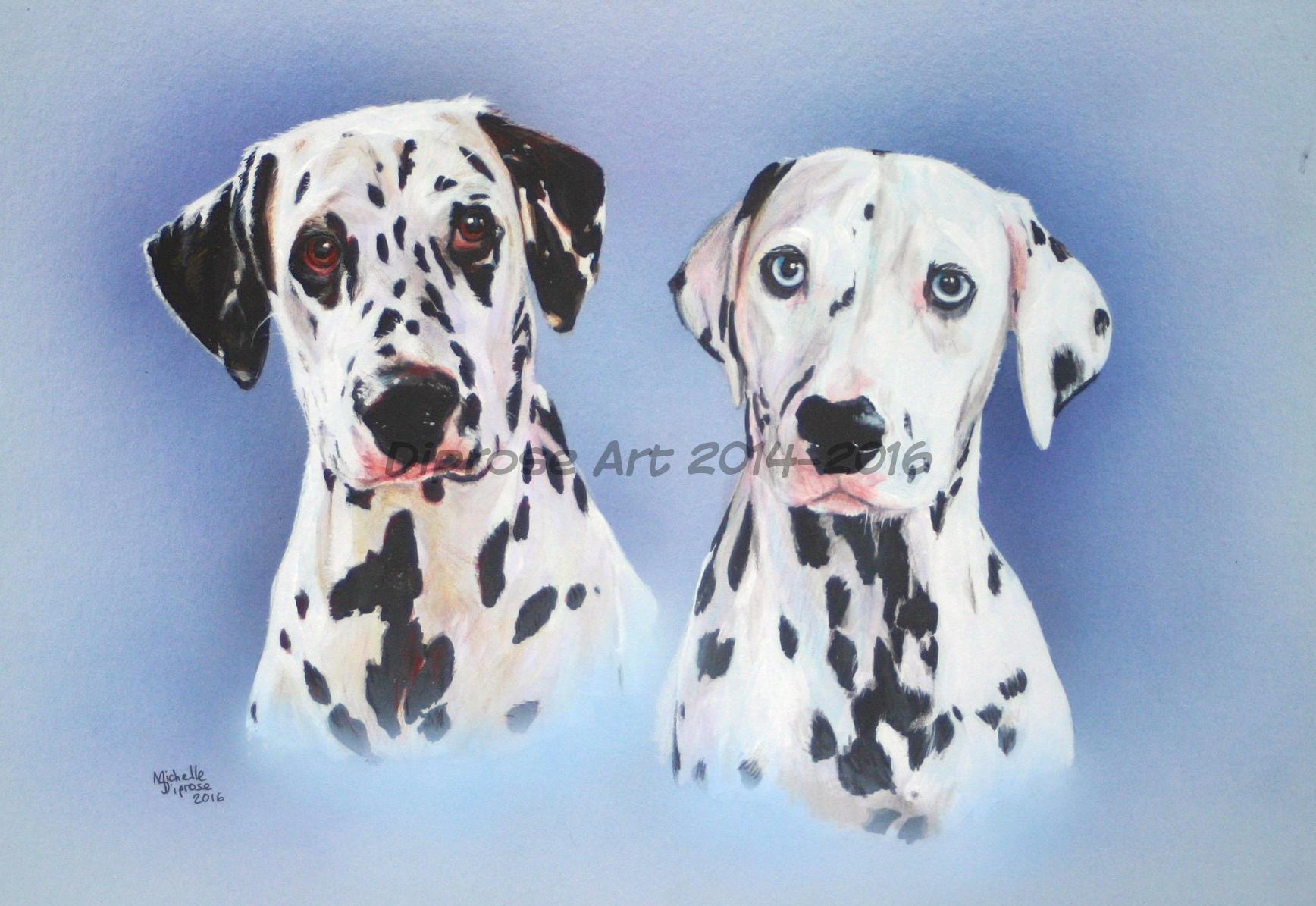 acrylics on board - approx A3 - pet dog portraits - These two were done as a special birthday present - It is the first time I&#039;ve painted a dog with blue eyes - amazing colour and very pretty dogs.