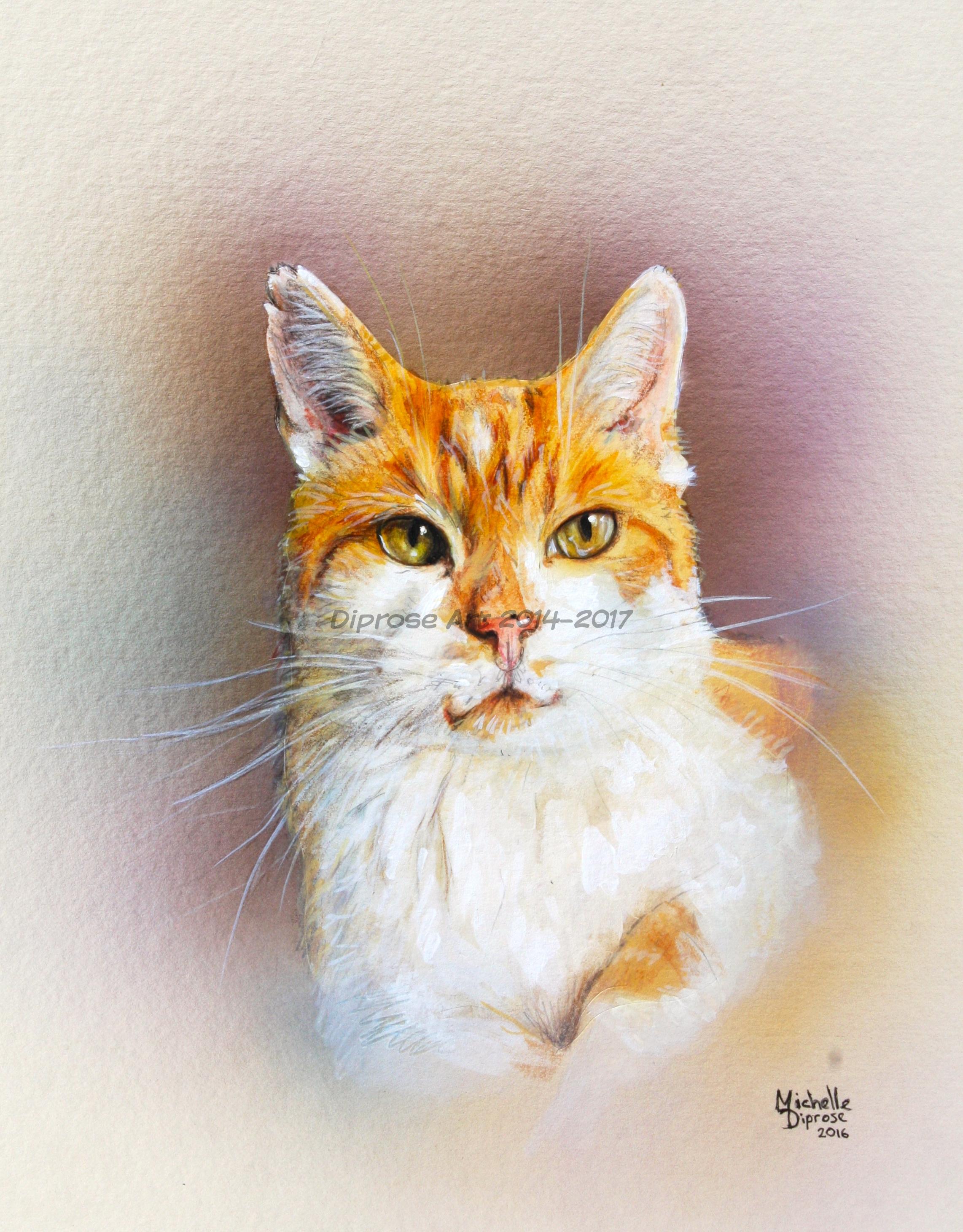 Acrylics on board - approx A4 - pet cat portrait - I enjoy painting animals as they truly are - scars and all - as they tell their story.