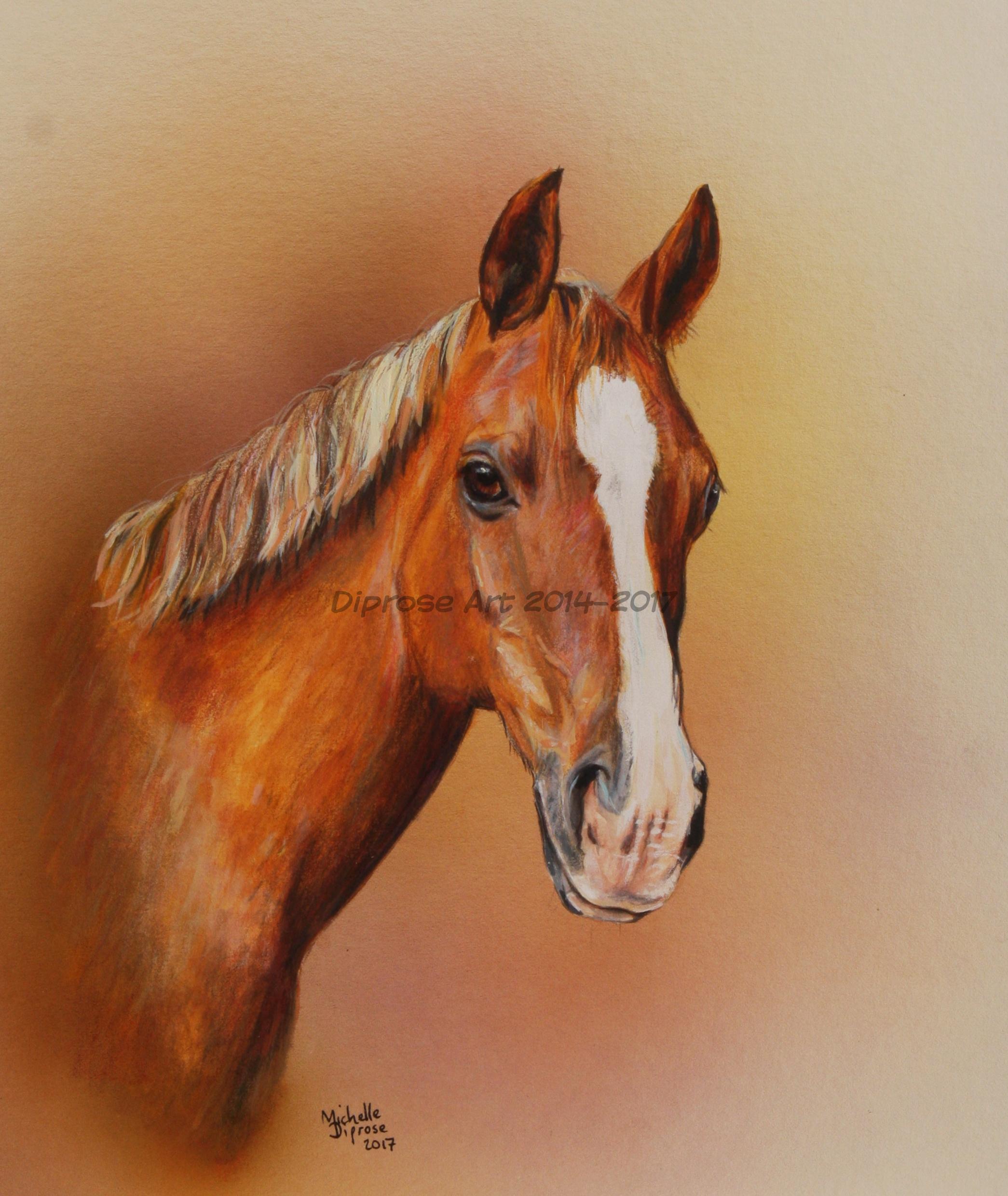 Acrylics on board - approx A4 -  horse portrait - This is Saffy and she is a lovely looking little mare - nice kind soft eye and rich chestnut coat - fun both to paint and to photograph.