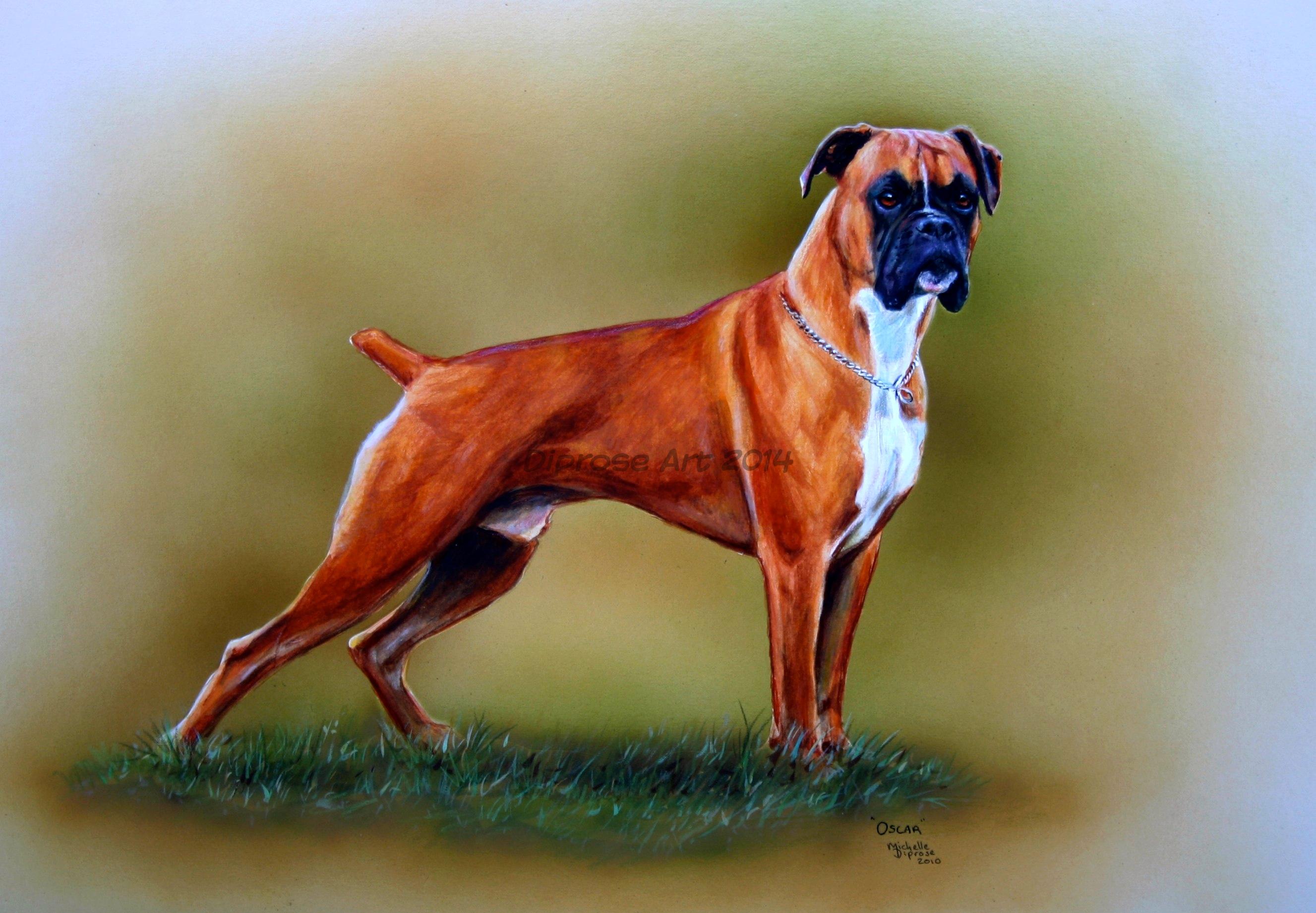 Acrylics on board - approx A3 - pet dog portrait - This handsome boxer had a natural proud stance so had to be painted in full as he had such presence. 