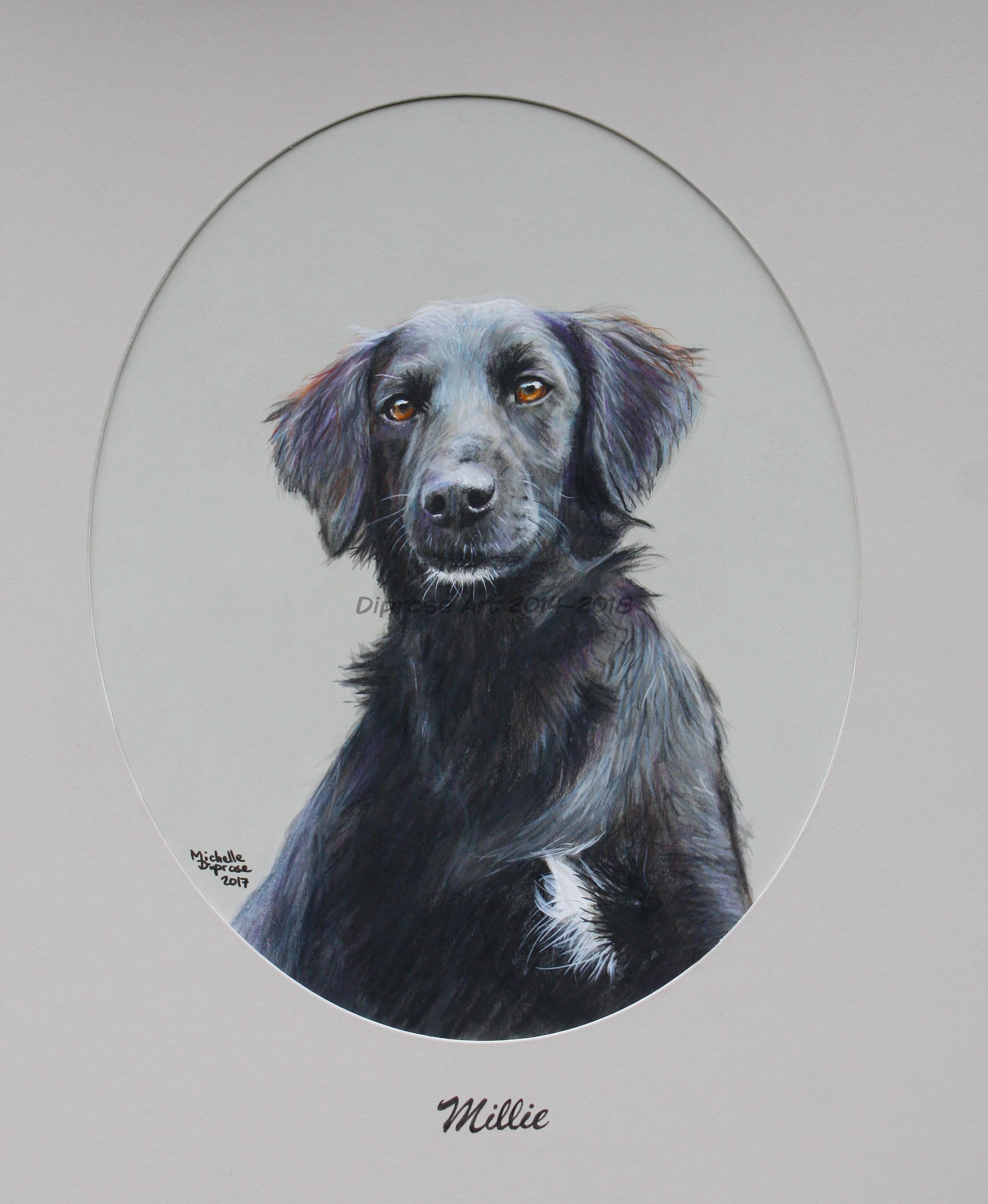 approx A3 acrylics pet portrait