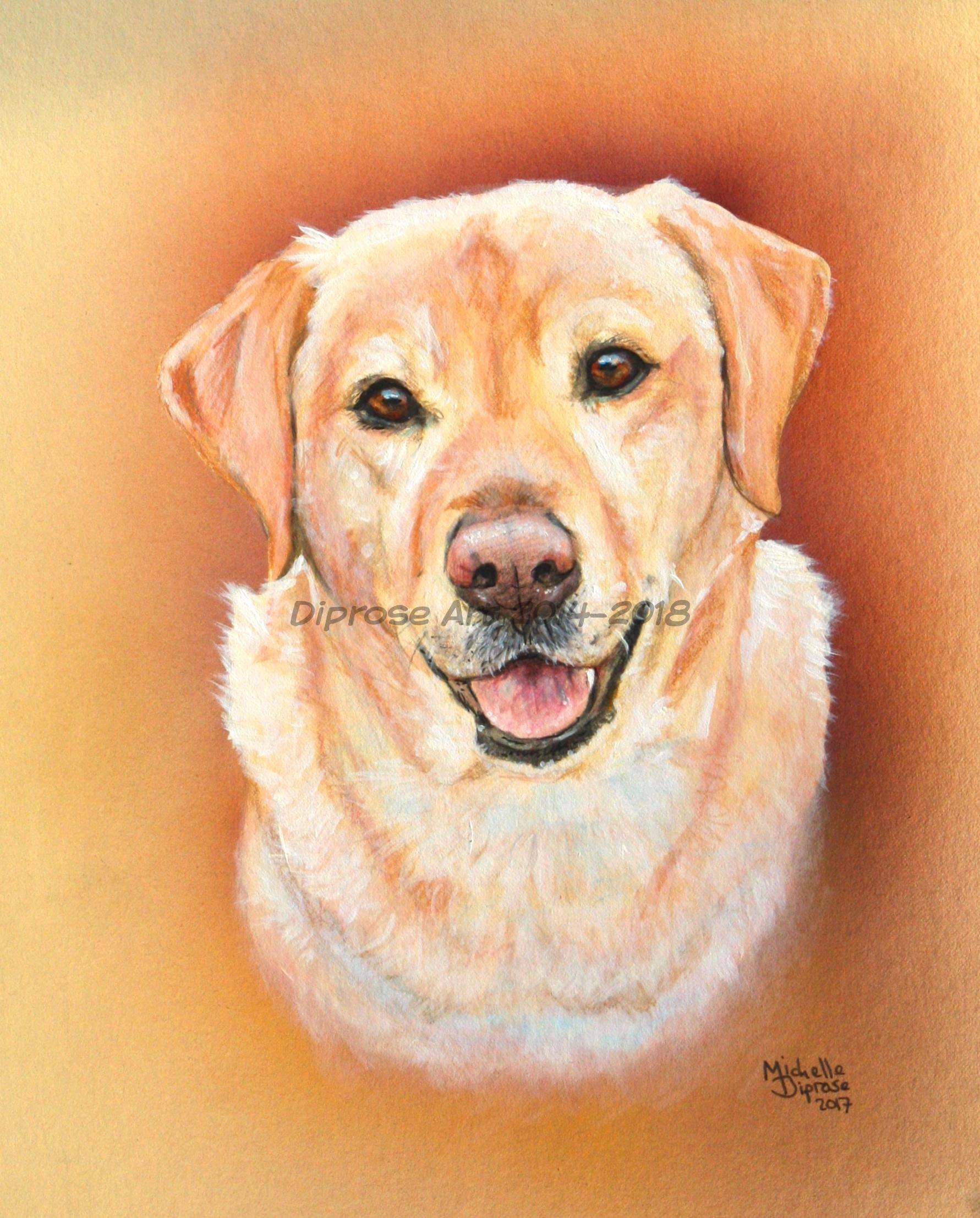 Approx A4 acrylics pet portrait - this is Baxter and I think he looks a very lovable boy.