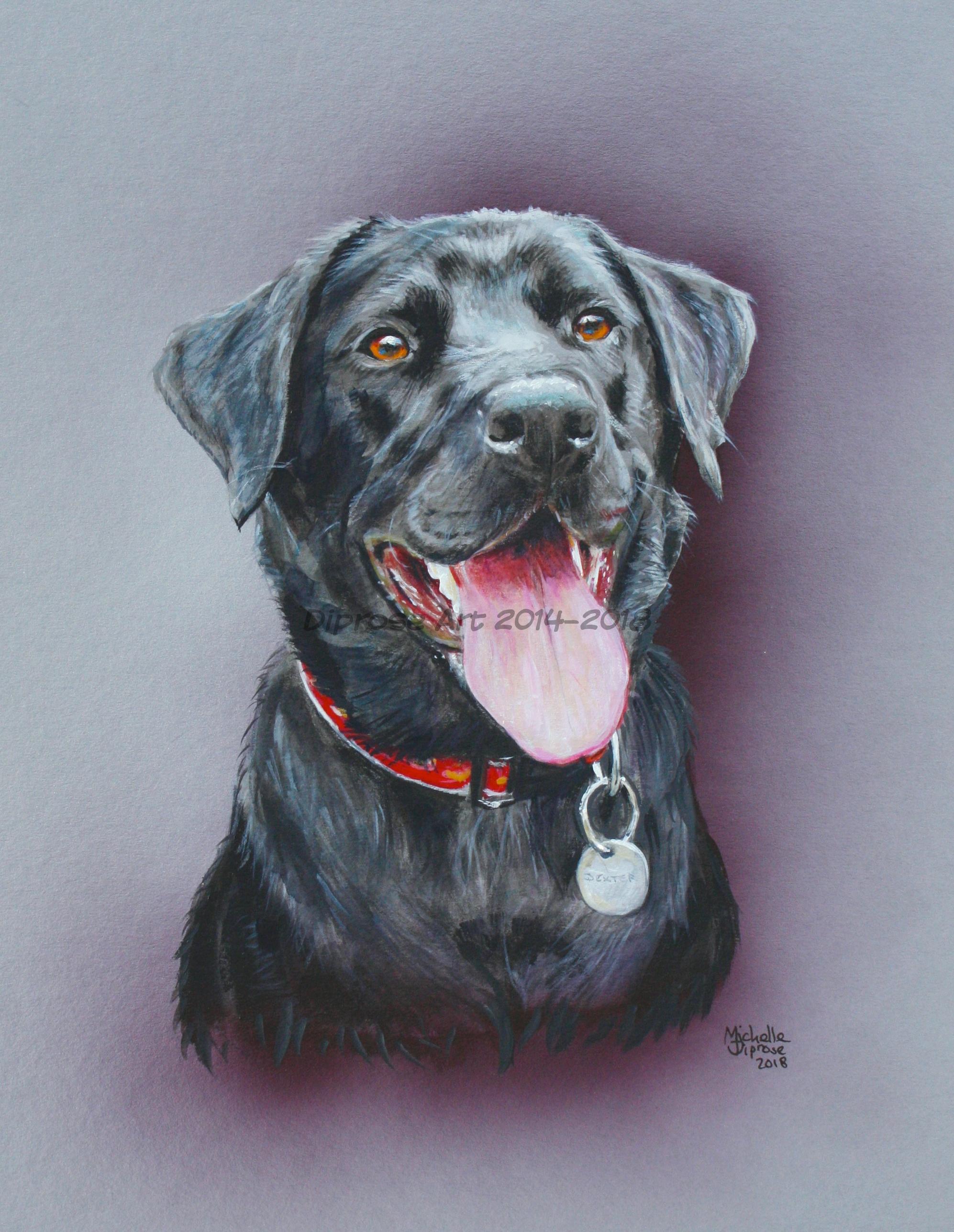 Approx A4 acrylics pet portrait - this is Dexter and he really is a joyful chap.  I enjoy painting black dogs - it&#039;s a good challenge and I like doing the highlights.