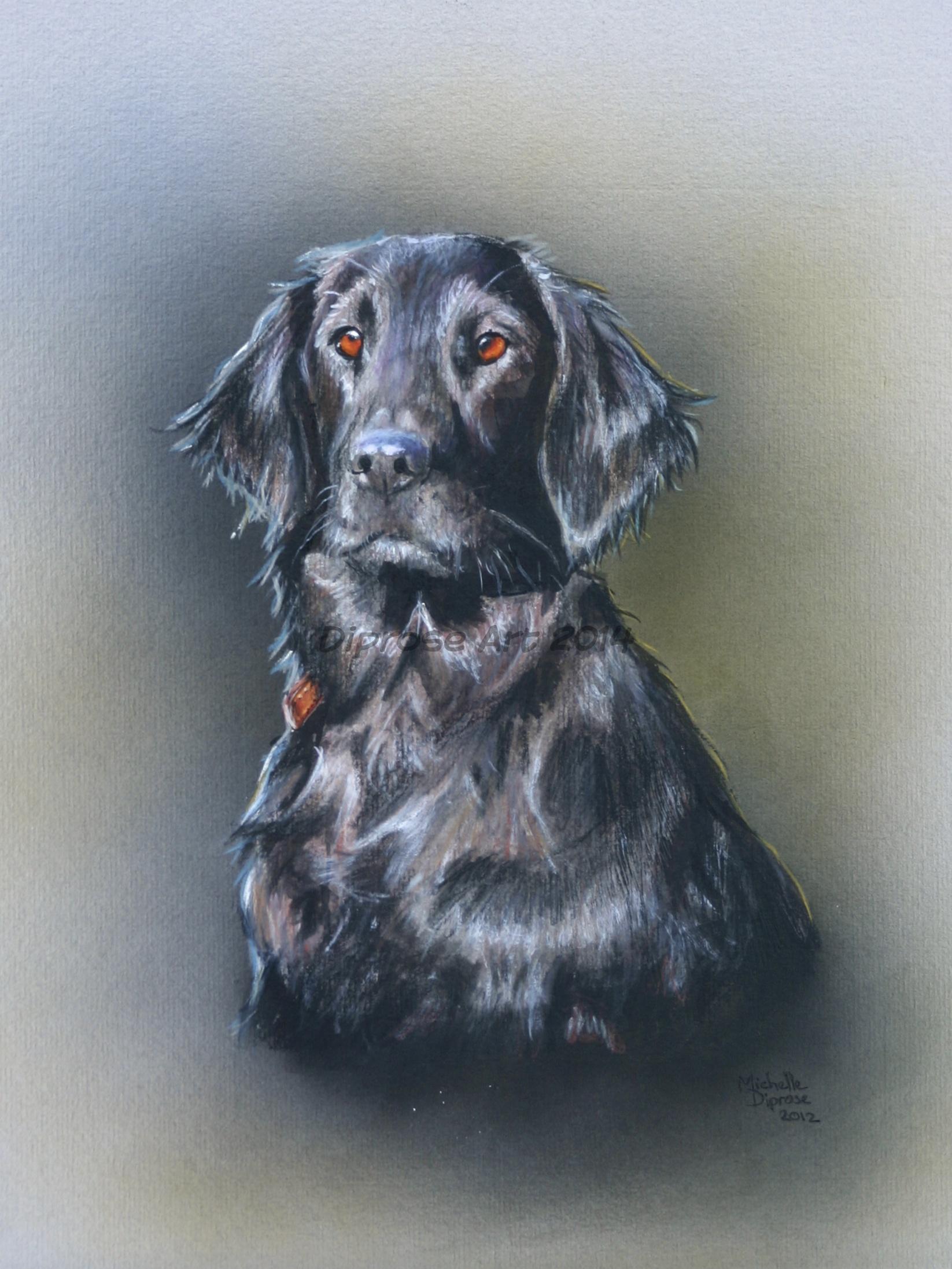 acrylics on board - approx A4 - Flatcoats are special dogs to me as they were my first introduction to the world of gun dogs.  I think Peggy is a very pretty girl.