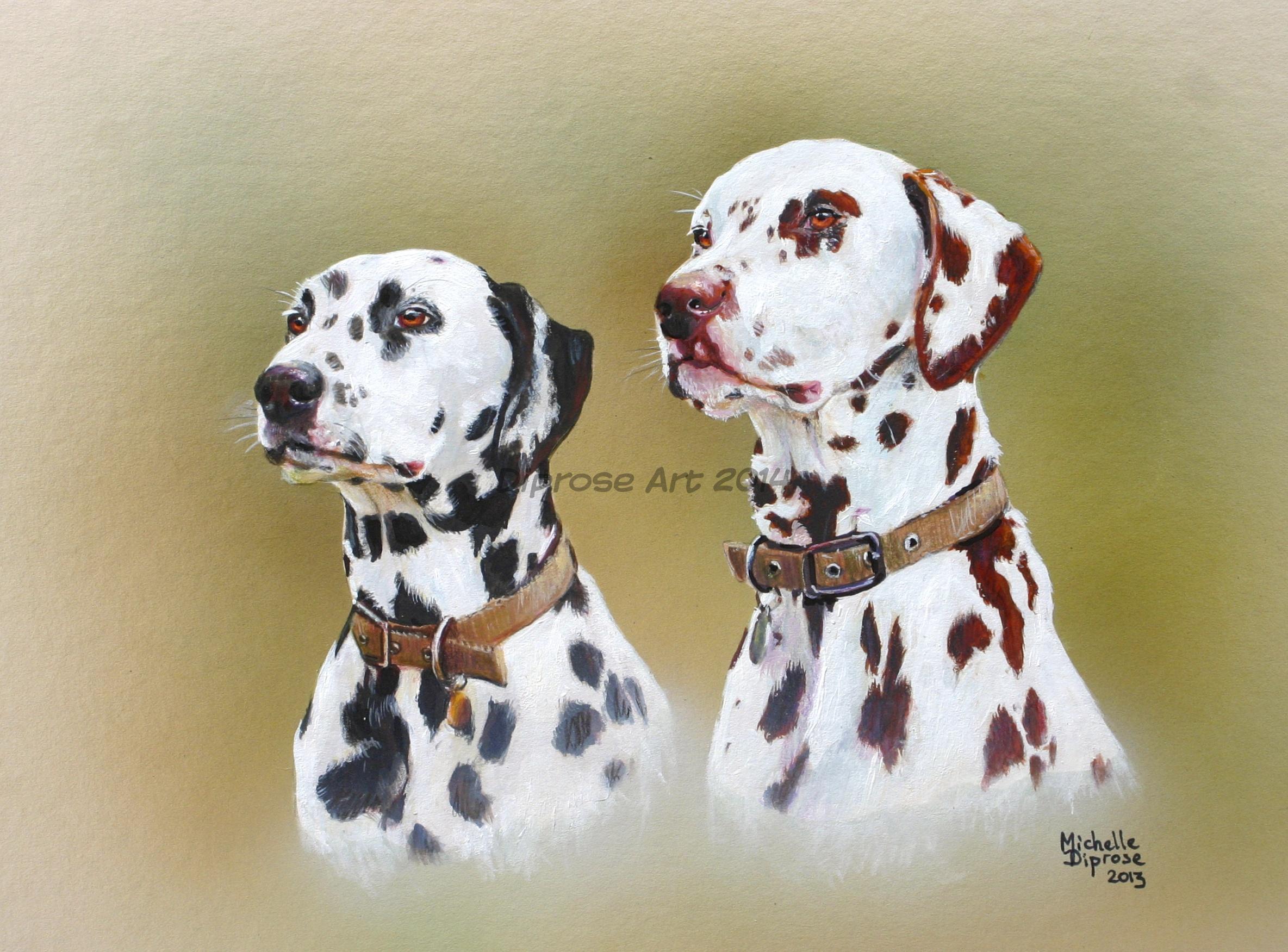 Acrylics on board - approx A4 - pet dog portrait - the male Dalmatian was liver and white whilst the smaller female the more usual black and white - by the end of this portrait I was certainly seeing spots before my eyes!