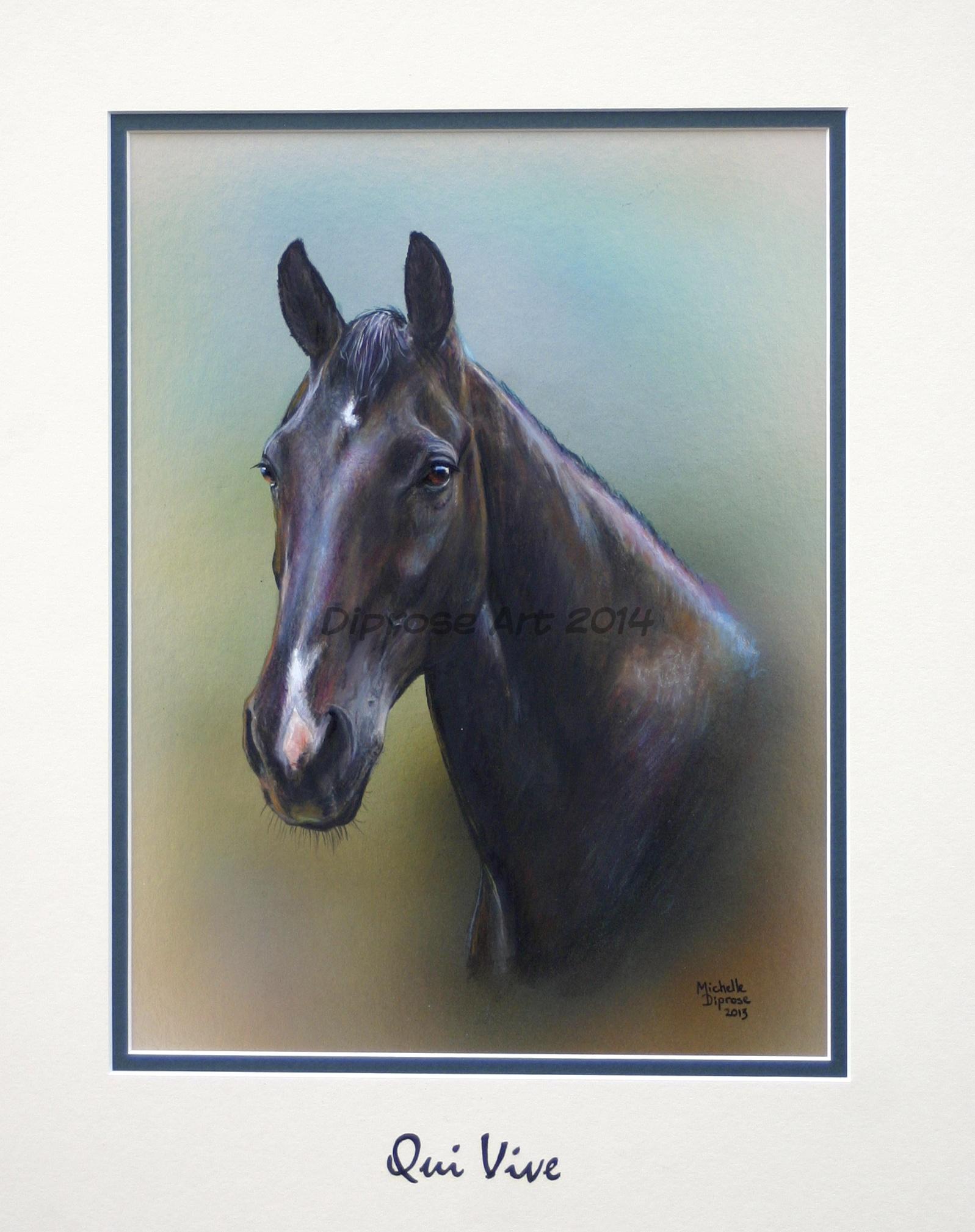 Acrylics on board - approx A4 -  horse portrait - Qui Vive is a beautiful black dressage star - he is talented and floats over the ground - I have never before seen a horse move as gracefully as him.