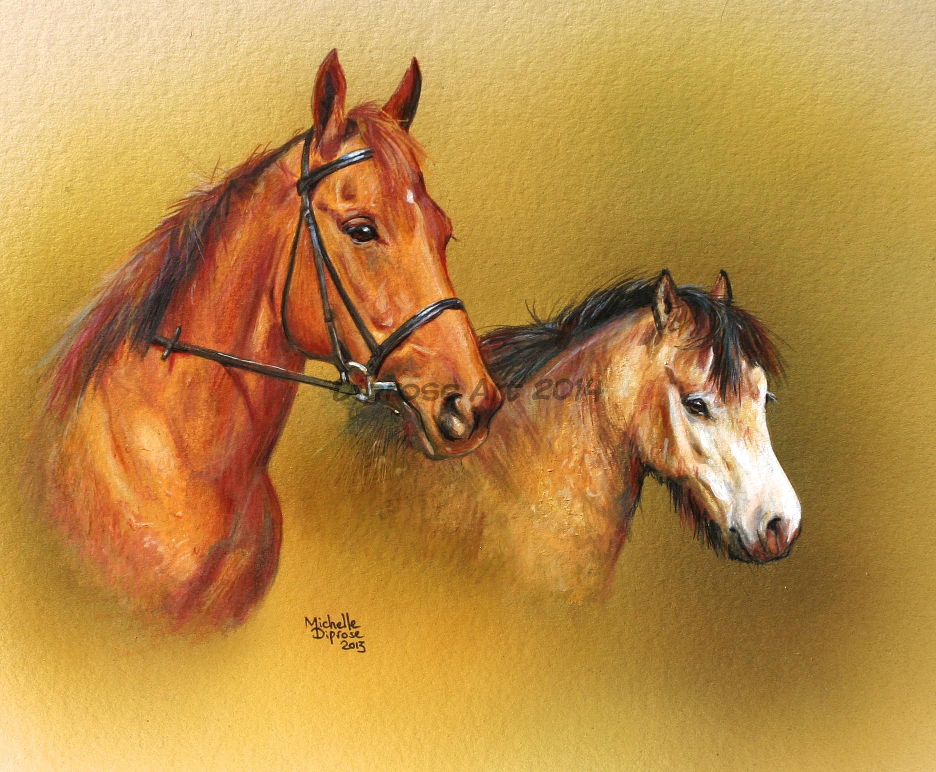 Acrylics on board - approx A3 - horse portraits - a chestnut TB gelding and a dun pony make quite a contrast to each other but these two pals both have equal amounts of character.