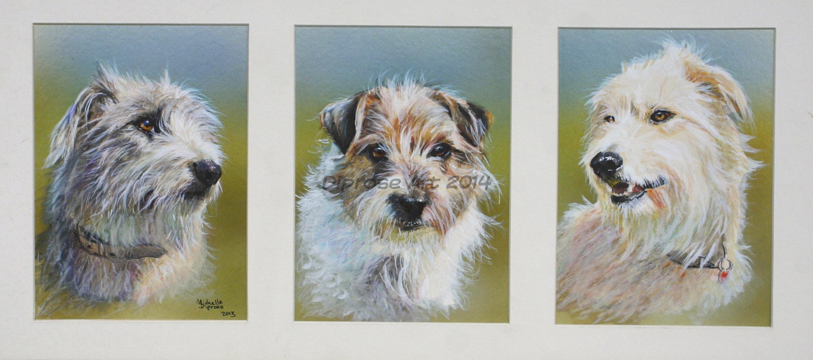 Acrylics on board - approx A3 long - pet dog portrait - Two large hairy leery lurchers and a tiny gorgeous scruffy Jack Russell terrier make my friend Kevin&#039;s life fun!