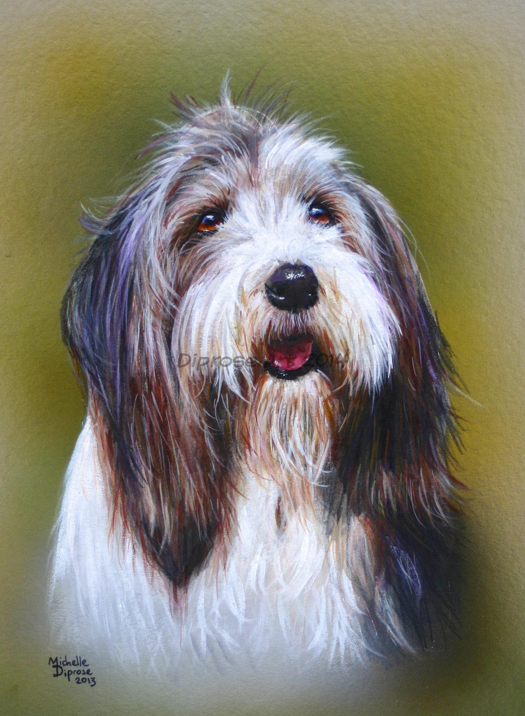 Acrylics on board - approx A4 - pet dog portrait - I loved this dog to bits - she was so much friendly fun.  I enjoyed photographing her as much as i did painting her.  Fantastic hair!
