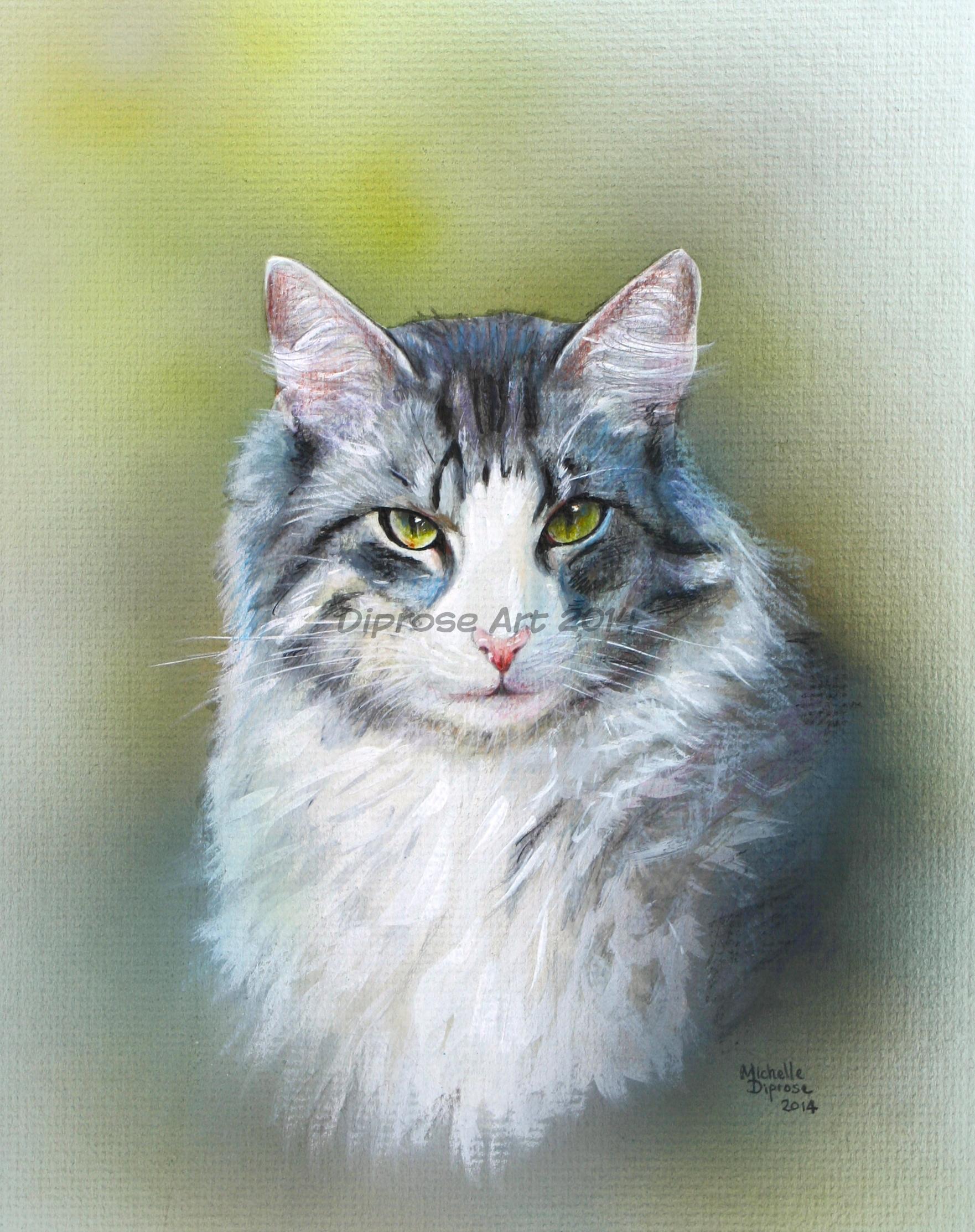 Acrylics on board - approx A4 - pet cat portrait - Norwegian Forest cats are special to me and I have probably painted more of them than any other breed.  Siggy was gorgeous and tragically killed which is so sad.