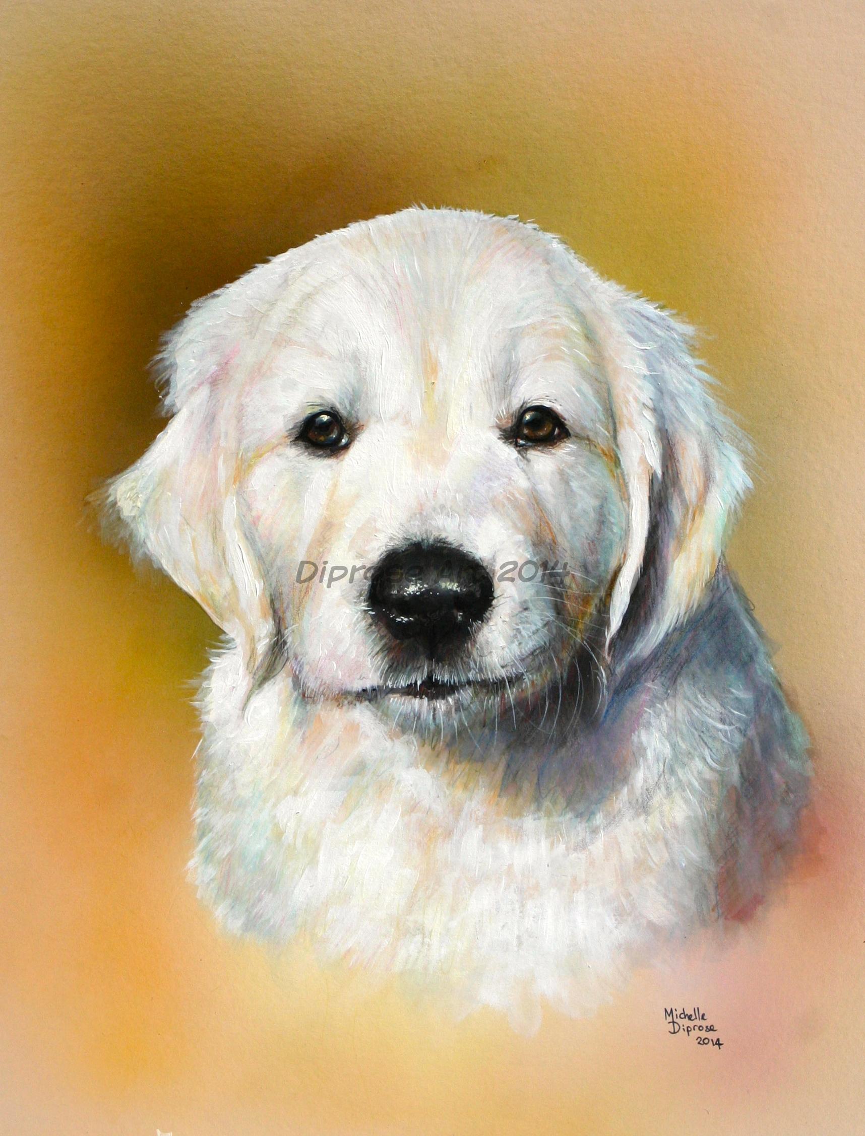 Acylics on board - approx A1 - pet dog portrait - The painting of this gorgeous puppy was a wedding present from a bride to her husband of their dog.