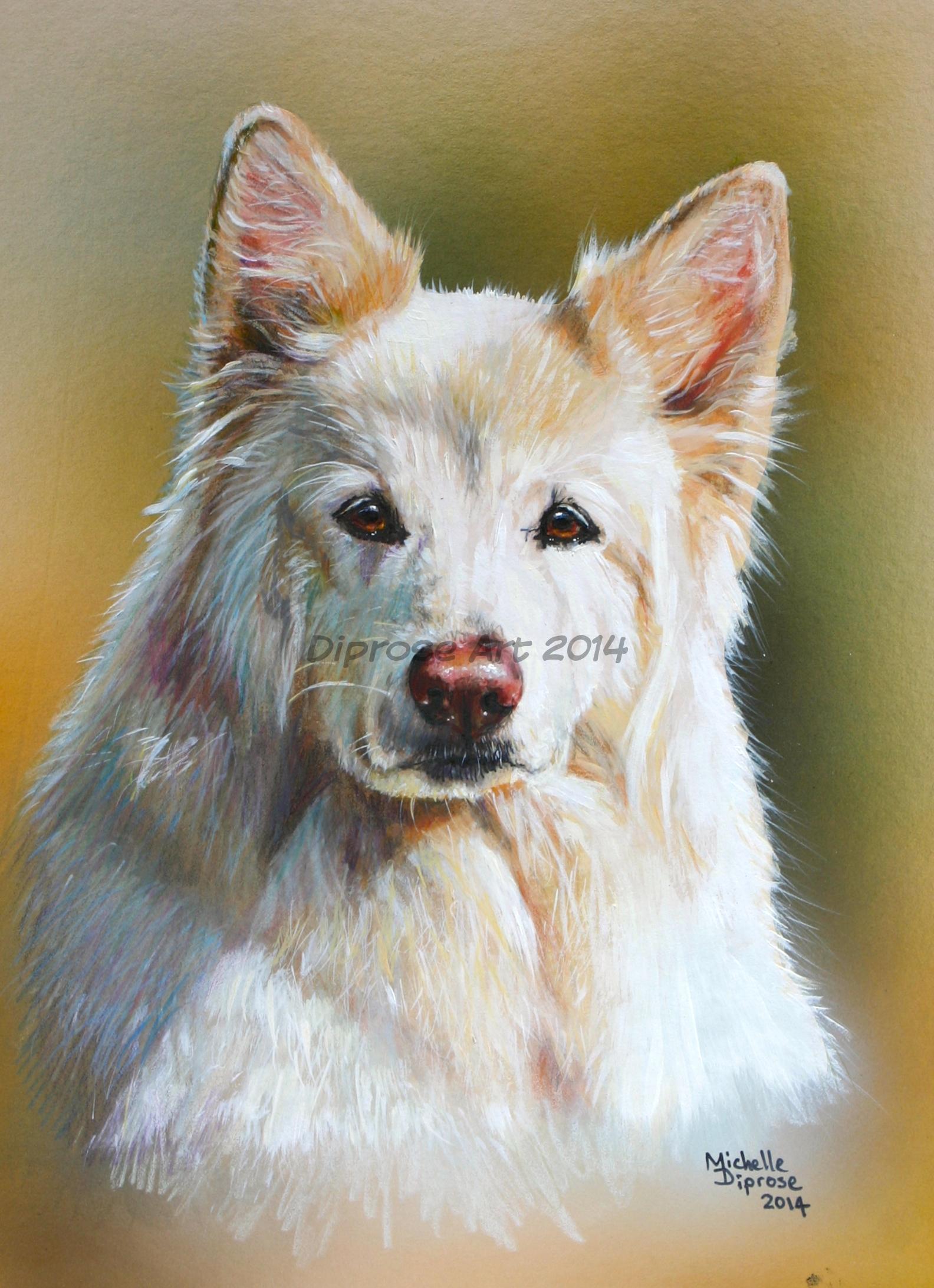 Acrylics on board - approx A4 - pat dog portrait - Nina being a long coated luscious creamy white was a difficult commission but one I really enjoyed doing - it was hot afternoon when I took her photos and she came to life when a bumble bee appeared.