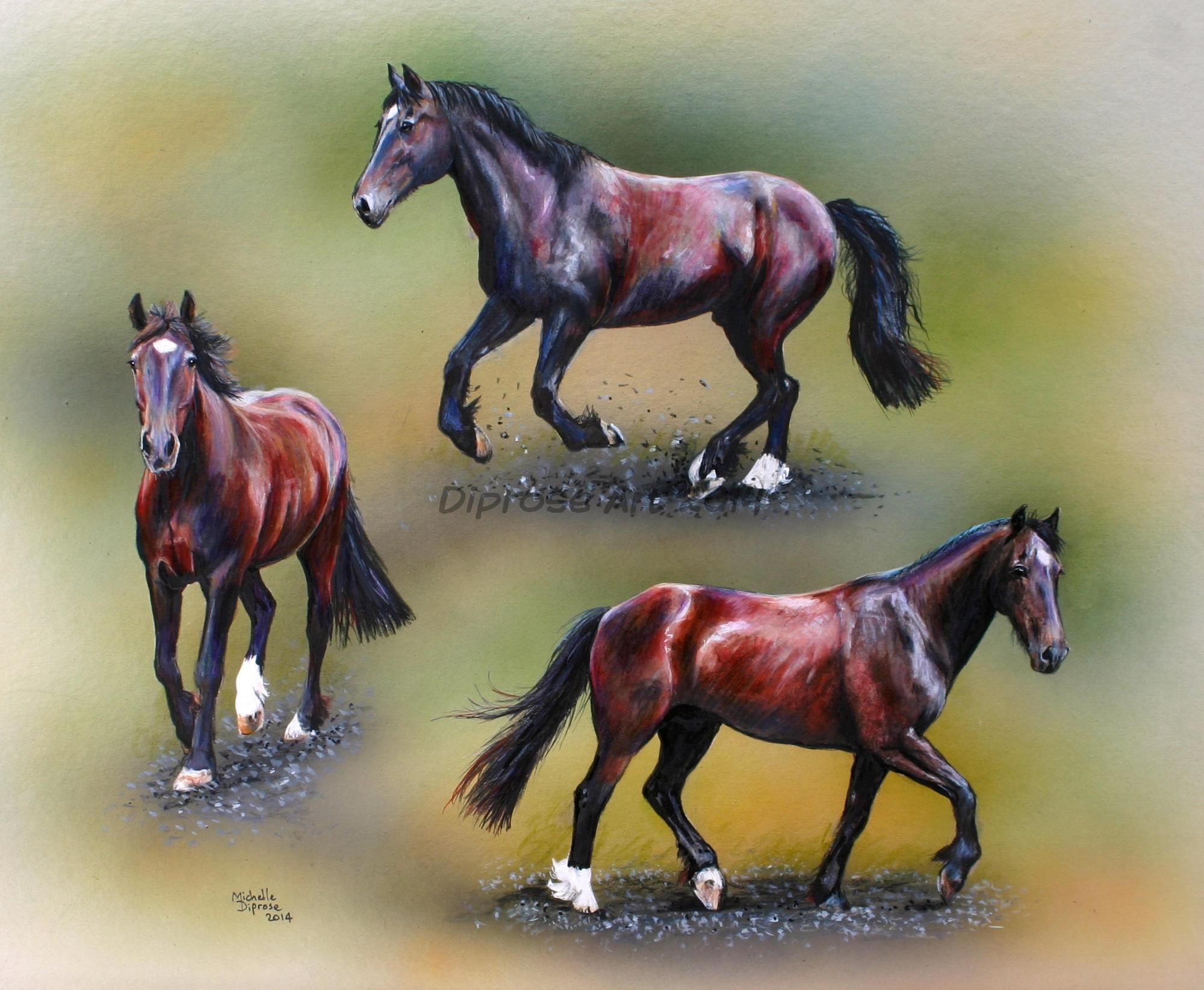 Acrylics on board - approx A3 - horse portrait - Meet Nobby - one of my most favourite horses - he is an old boy now but he still can shift if he feels like it!  And he is still in great condition. This him three ways to show off his moves.  Bless him.
