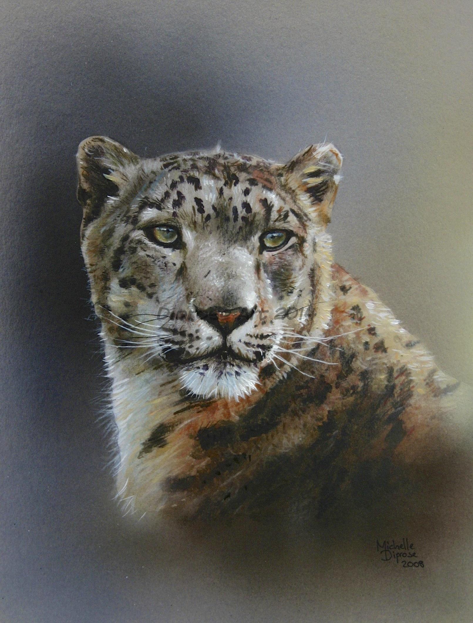 Acrylics on board - approx A4 - big cat/wildlife painting  - I was lucky enough to have a day out at the Smarden Wildlife Heritage Foundation and photographed this amazing snow leopard.  I had to paint him too.