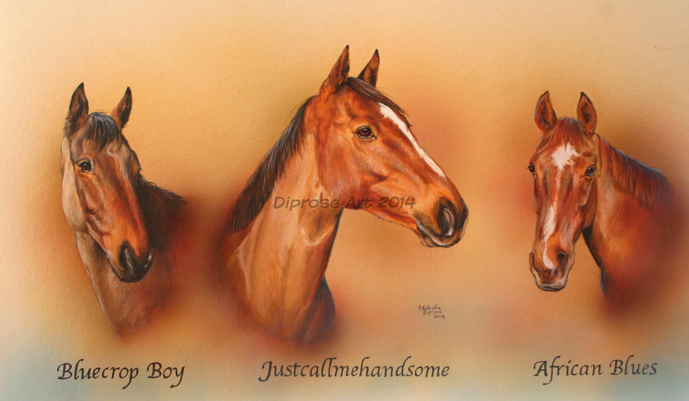 Mixed media on board - approx A2 - Three stunning racehorses