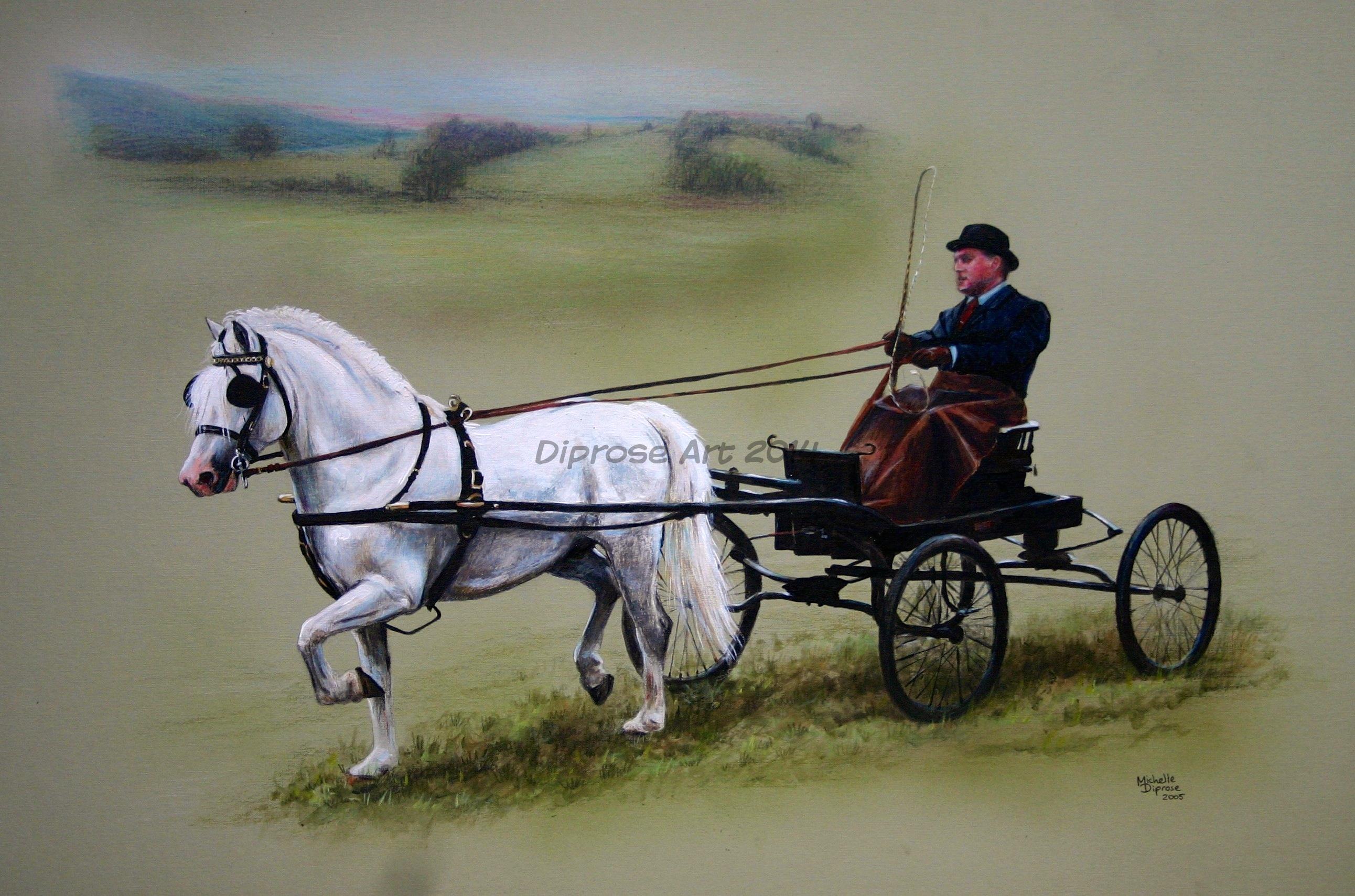 Acrylics on board - approx A3 - horse portrait/ people portraits - Mark is a very skilled driver and won at the Royal Welsh with this bonnie pony.  This Welsh pony was the most flashy and talented I have ever seen.