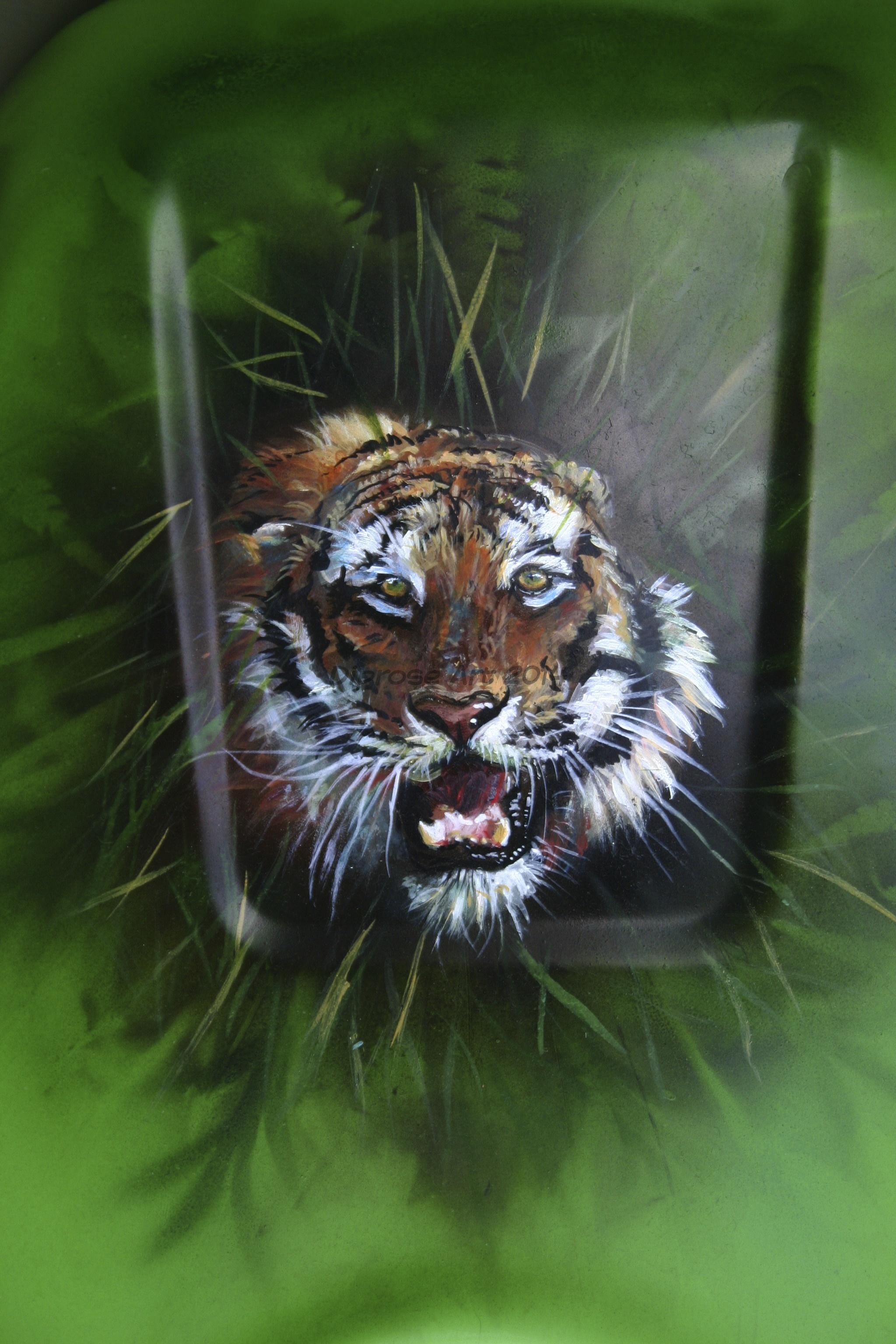Automotive customisation - Kawasaki - top of tank -  put a tiger on your tank! - tiger on top on tank.