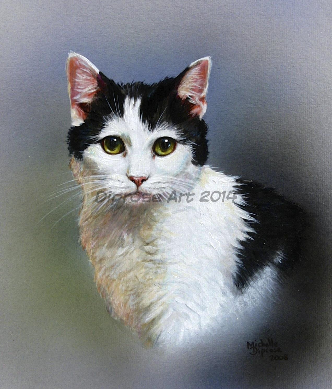 Acrylics on board - approx A4 - pet cat portrait - this dear little cat is one of my favourite cat portraits - she has such a sweet face and the light and shade give the portrait depth.