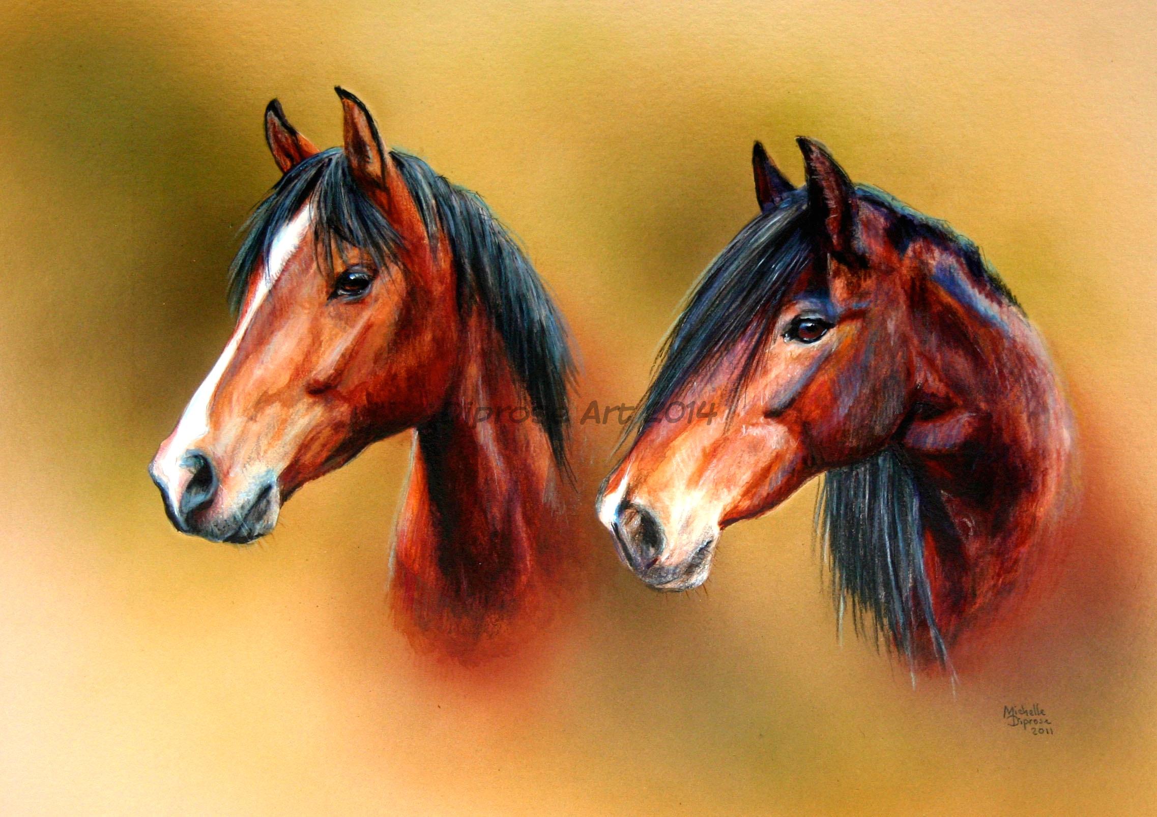Acrylics on board - approx A3 - horse portraits - Horses nowadays generally have their manes pulled within an inch of their lives for neatness and ease but in truth I like to see them looking natural and flowing.