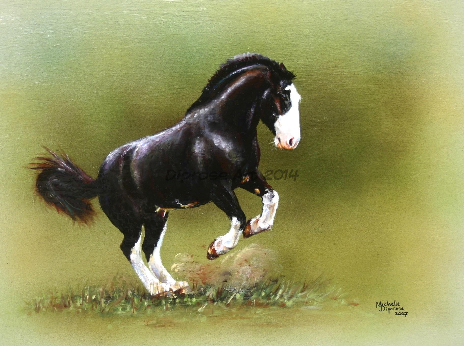 oils on canvas - approx A3 - horse portrait - Bertie the Cob.  Naughty Bertie. A horse with as much personality as his mum. Both of them are naughty and make me laugh.