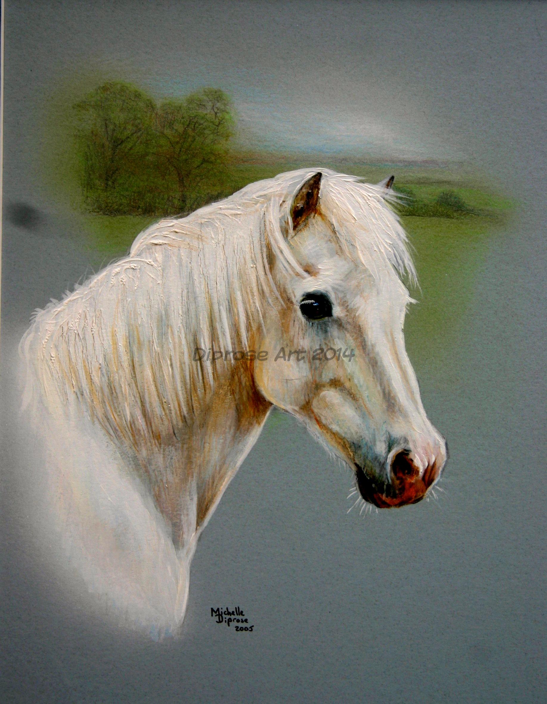 Acrylics on board - approx A4 -  horse portrait - This great old pony had been a legend for his owner - and still had a few impressive moves for his photo shoot!  A real strong character and so cheeky.