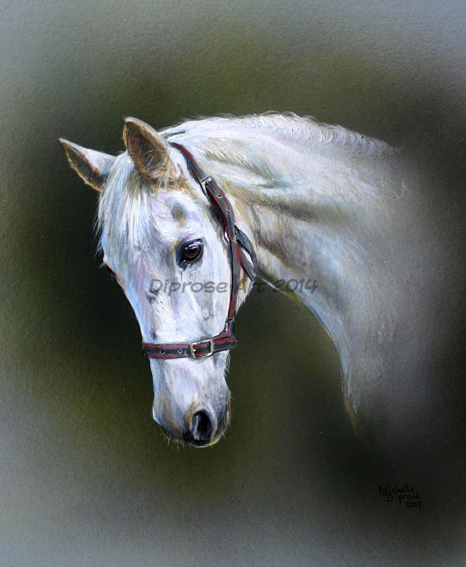 acrylics on board - approx A4 -  horse portrait - Grey horses are difficult to paint - you can&#039;t rely on a gleaming shiny coat to give the painting interest but I think the contrast between light and shade and the head position make this one work well.