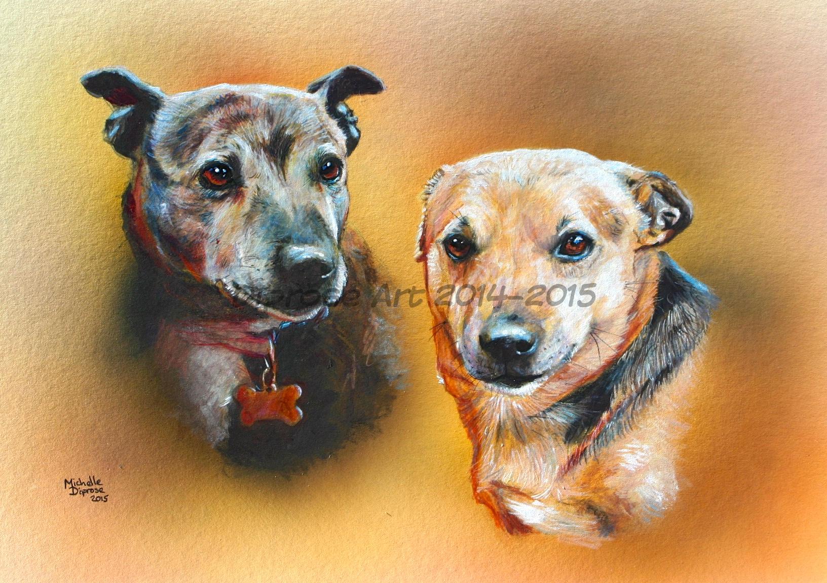 Acrylics on board - approx A4 - pet dog portrait - These lovely old dogs are incredible - one of them is 17 years old which I think is amazing and they still look beautiful.  I love older dogs especially as I have a grand old boy myself.