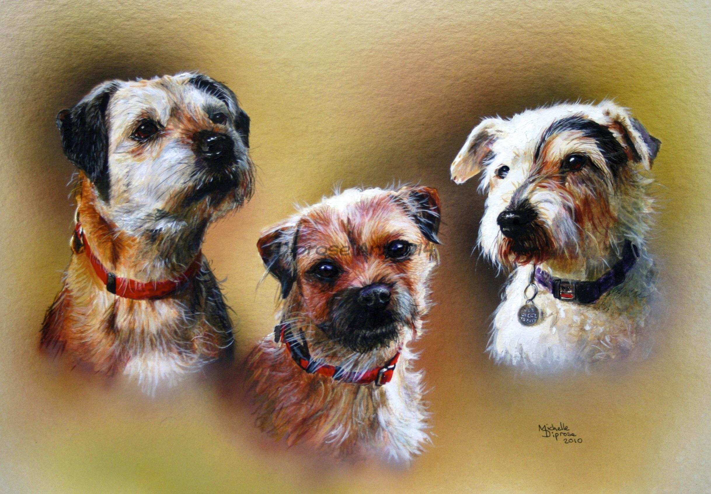Acrylics on board - approx A3 - pet dog portrait - A trio of terriers - two Border terriers and a Jack Russell.  Rupert is a mature fellow whilst Ruby is a really perky little girl.
