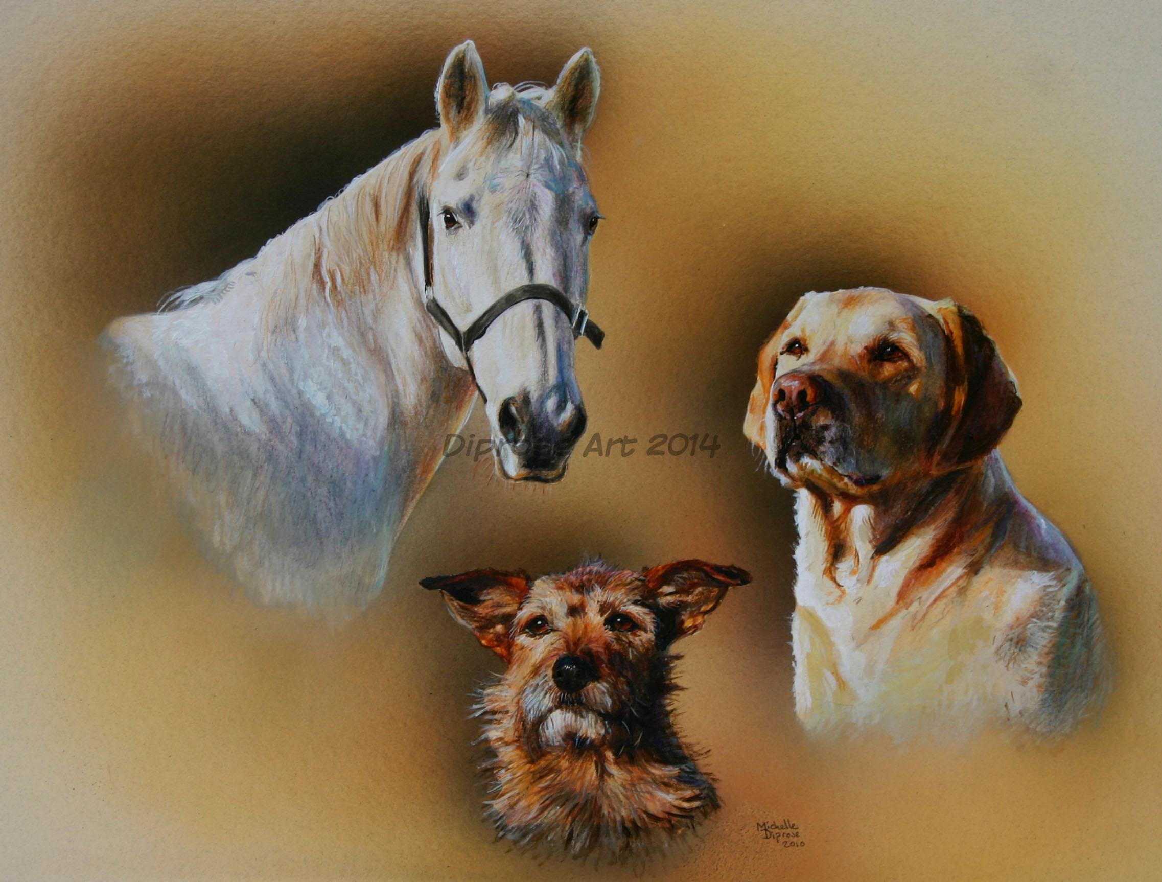 Acrylics on board - approx A3 - horse and dog pet portraits - When I was asked to put a horse portrait with two dogs I thought the contrast in sizes might be a challenge but I think it works well as you feel as if the dogs are at the front.