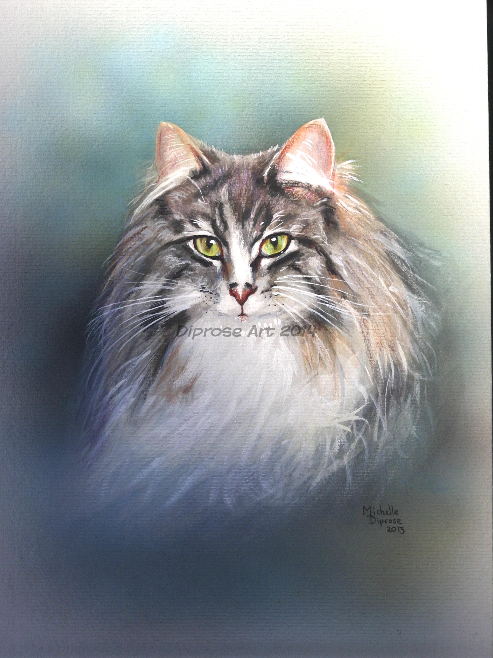 Acrylics on board - approx A4 - pet cat portrait - Jora is another Norwegian Forest Cat and so beautiful - wonderful long coat.  She is also, sadly, no longer with us.