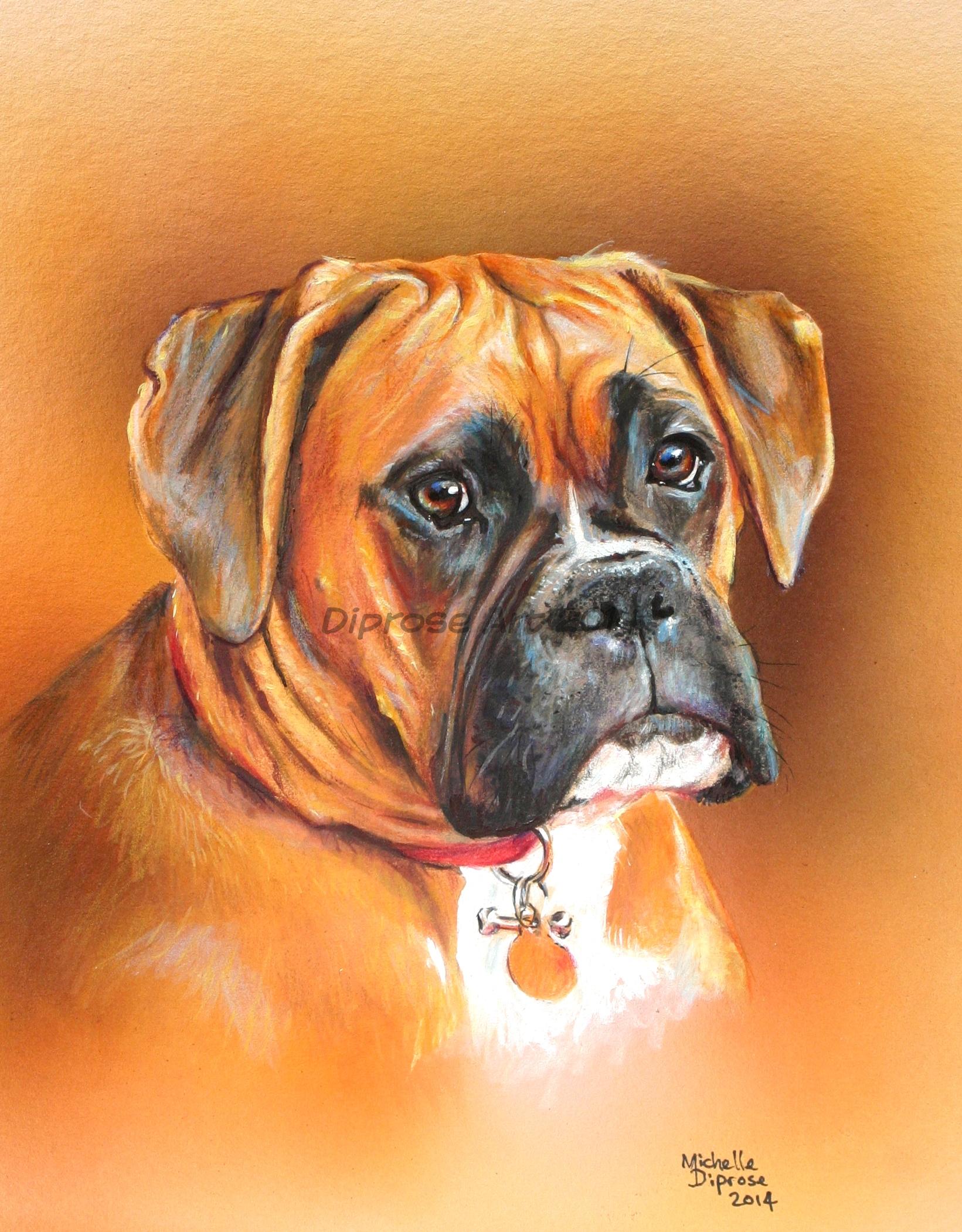 acrylics on board - approx A4 - pet dog portrait - I love the rich red colour of this beautiful boxer - she has the most wonderful expressive face too.