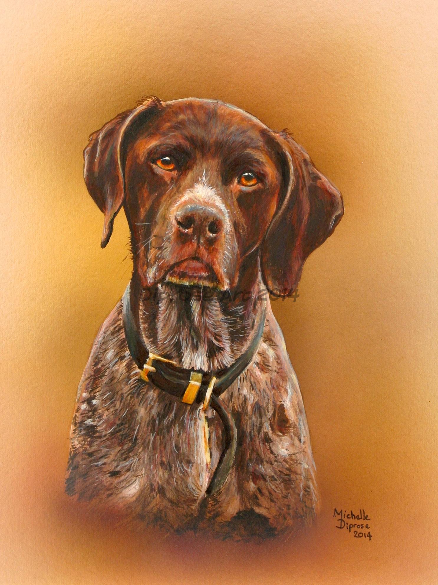 Acrylics on board - approx A4 - pet dog portrait - This handsome fellow is a German Shorthair pointer - and very much like my old boy - so I think very handsome (although I am biased) (and I don&#039;t care)