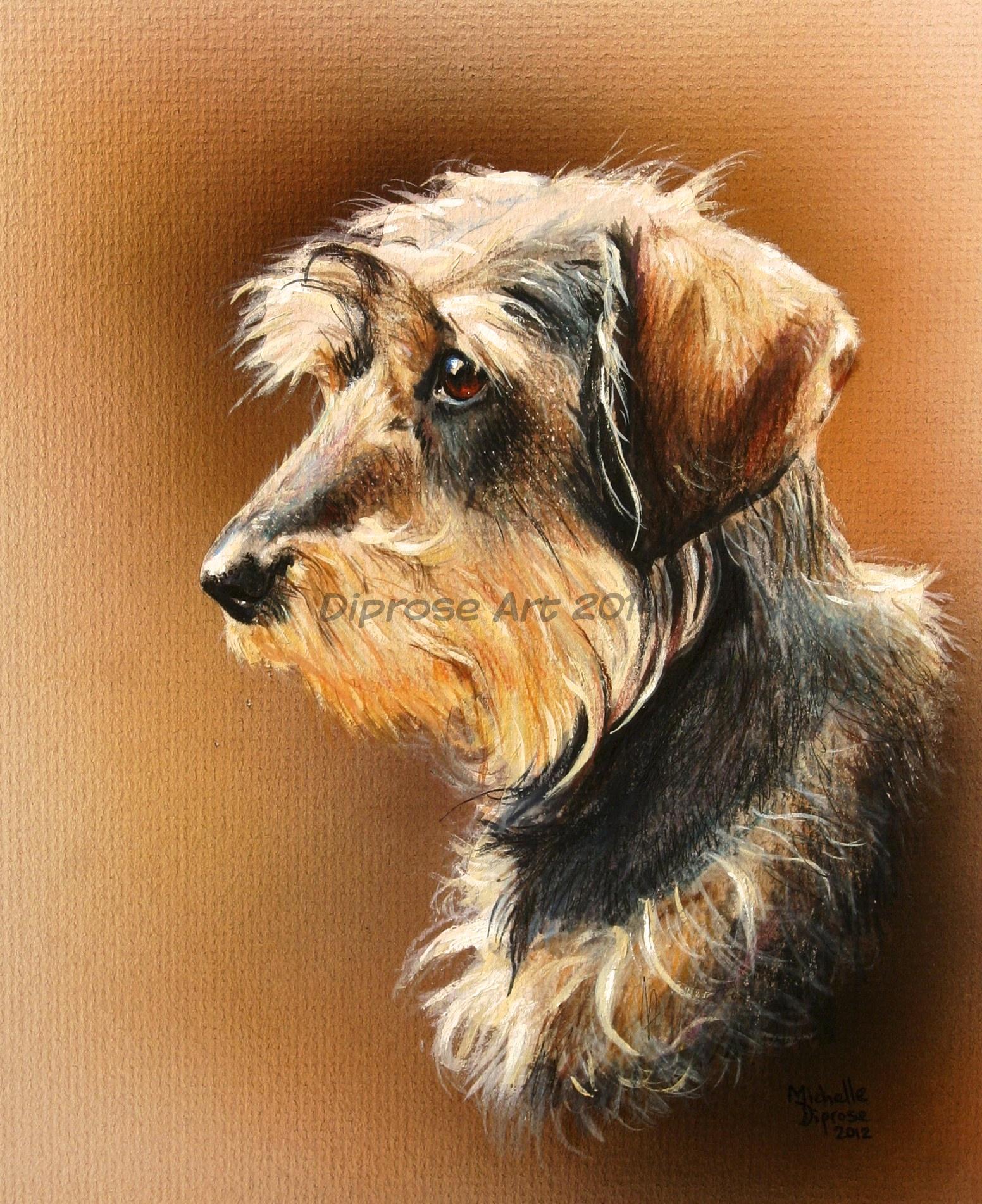 Acrylics on board - approx A4 - pet dog portrait - nice side profile of Monty the Dachshund showing his lovely wiry beard off!