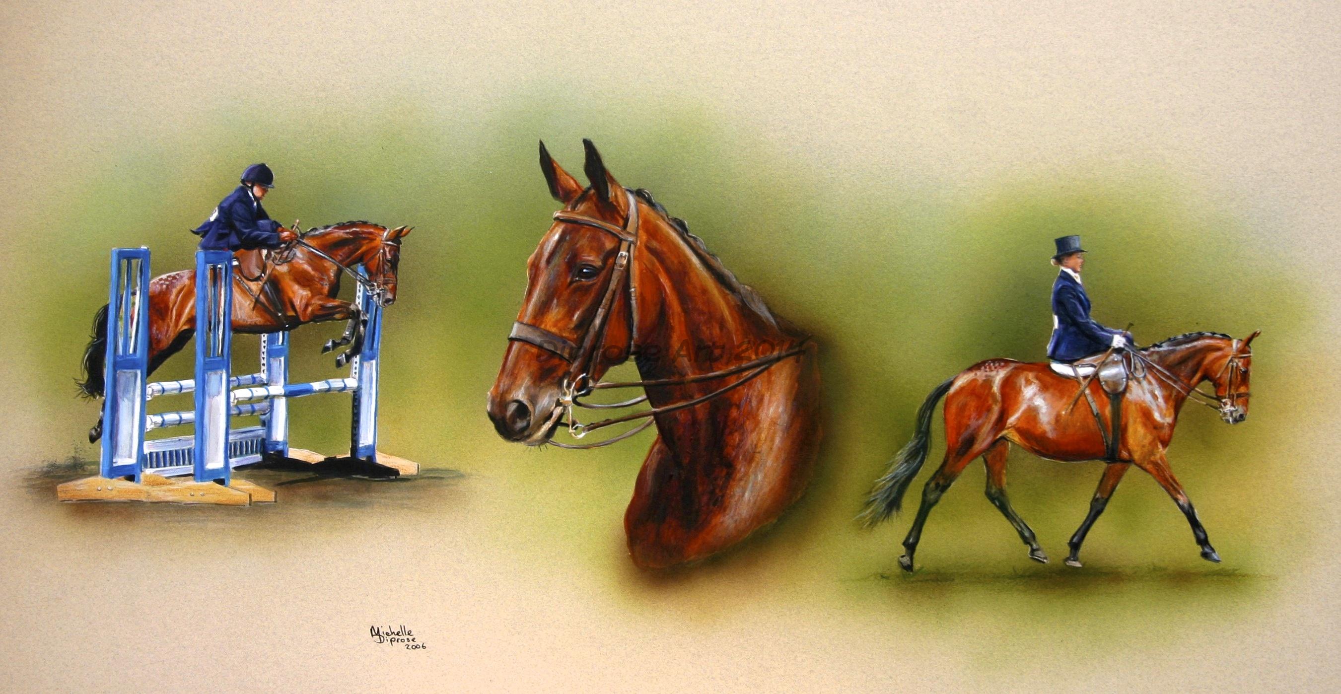 Acrylics on board - approx A3 - horse portrait - Nola was a very clever dainty bay mare who&#039;s mum rode her side saddle . . . and over jumps! 