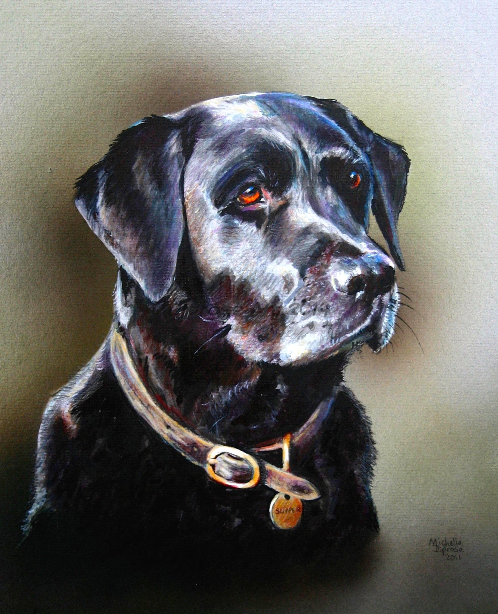 Acrylics on board - approx A4 - pet dog portrait - Slipper is a beautiful black labrador - I lover her name too!