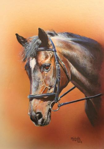 Bay Horse head portrait by Michelle Diprose